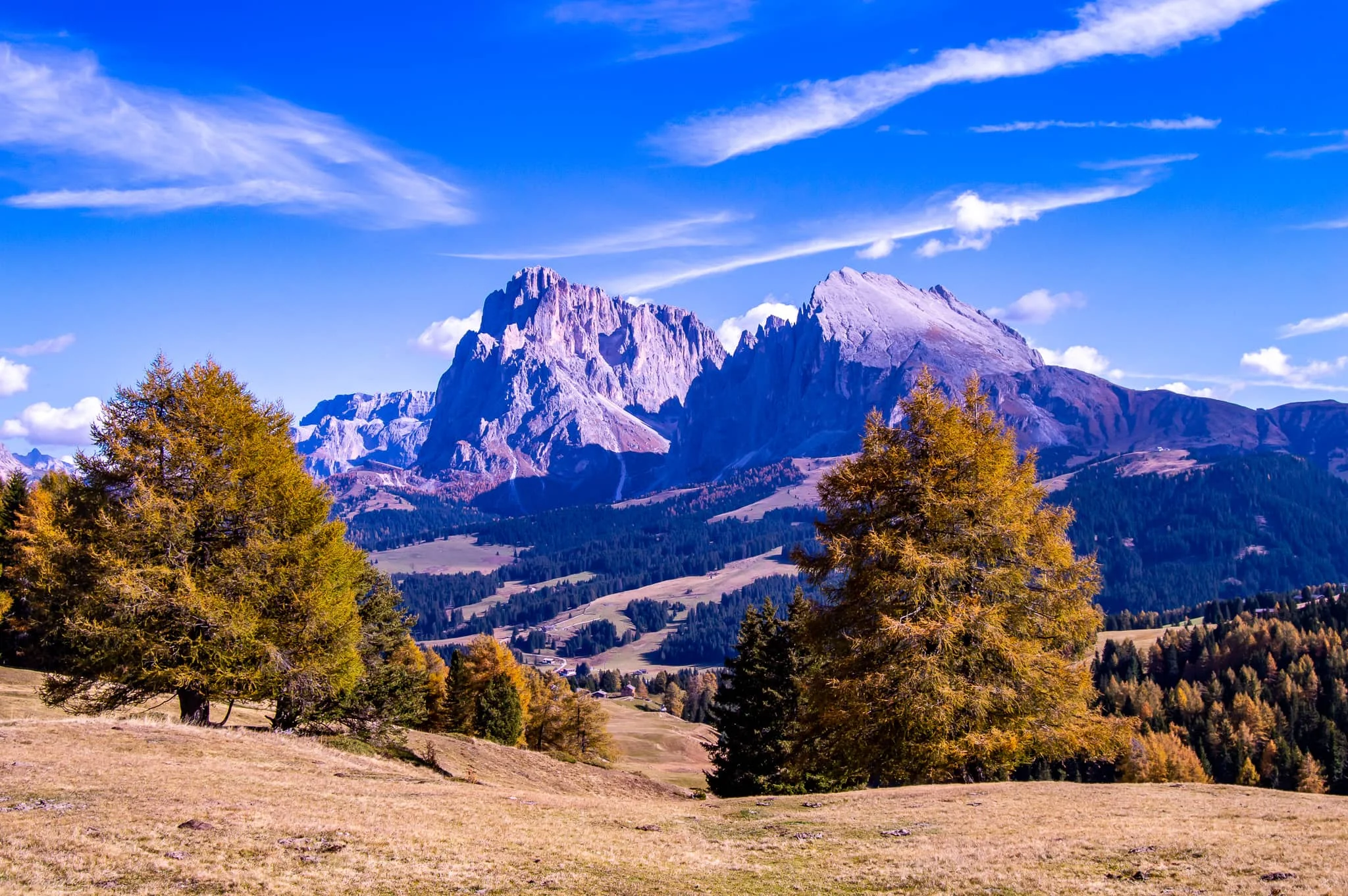 DSC_0141.jpg