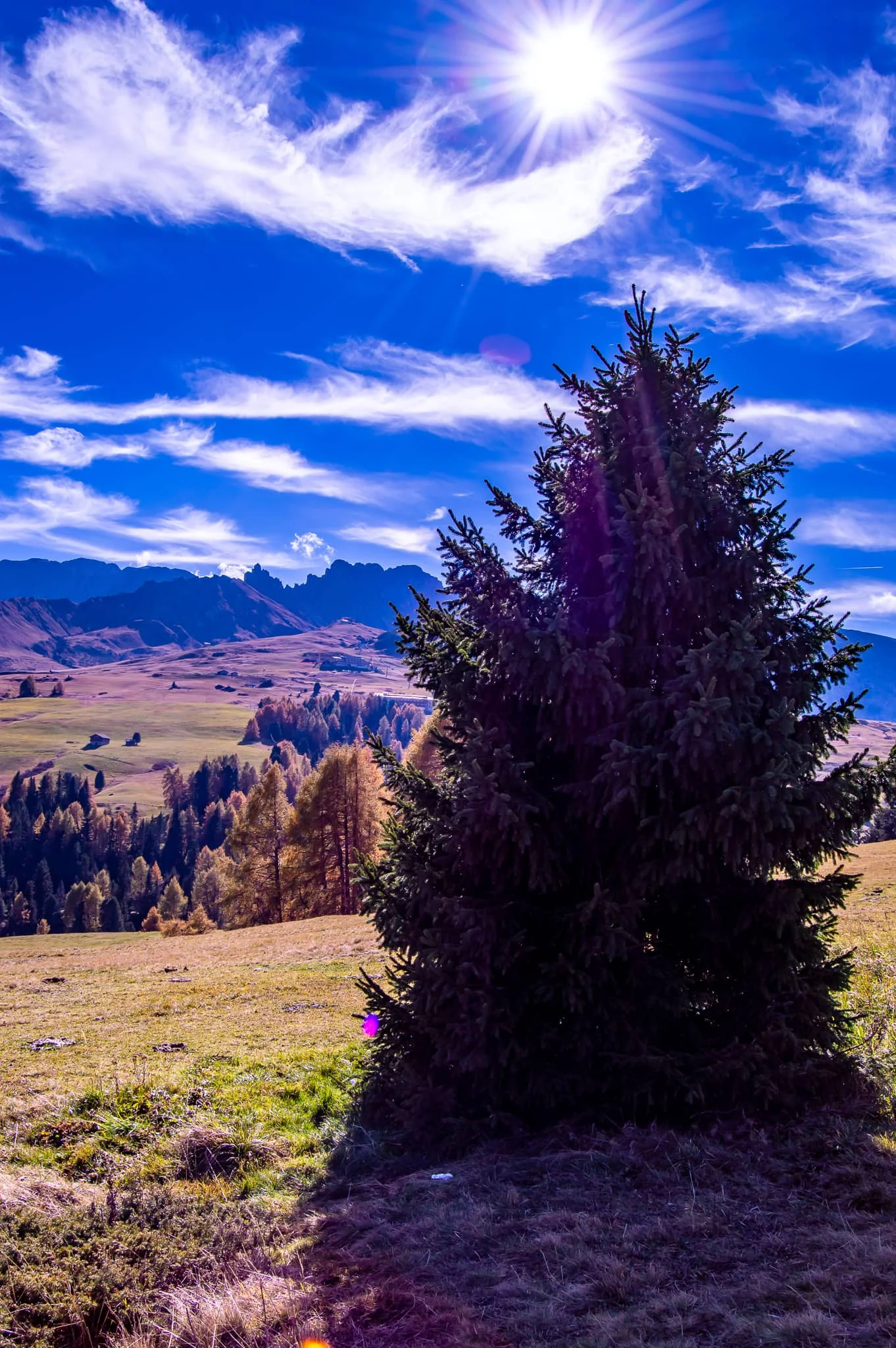 DSC_0142.jpg