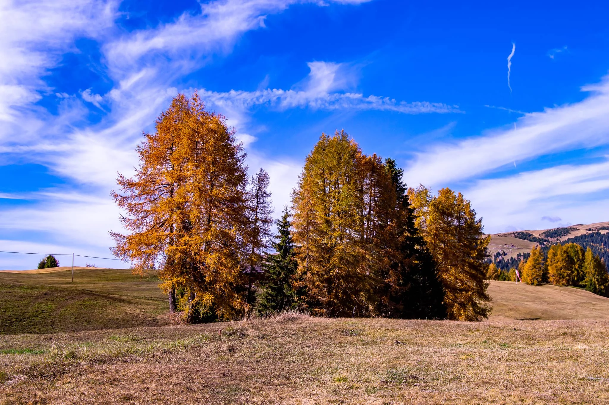 DSC_0144.jpg