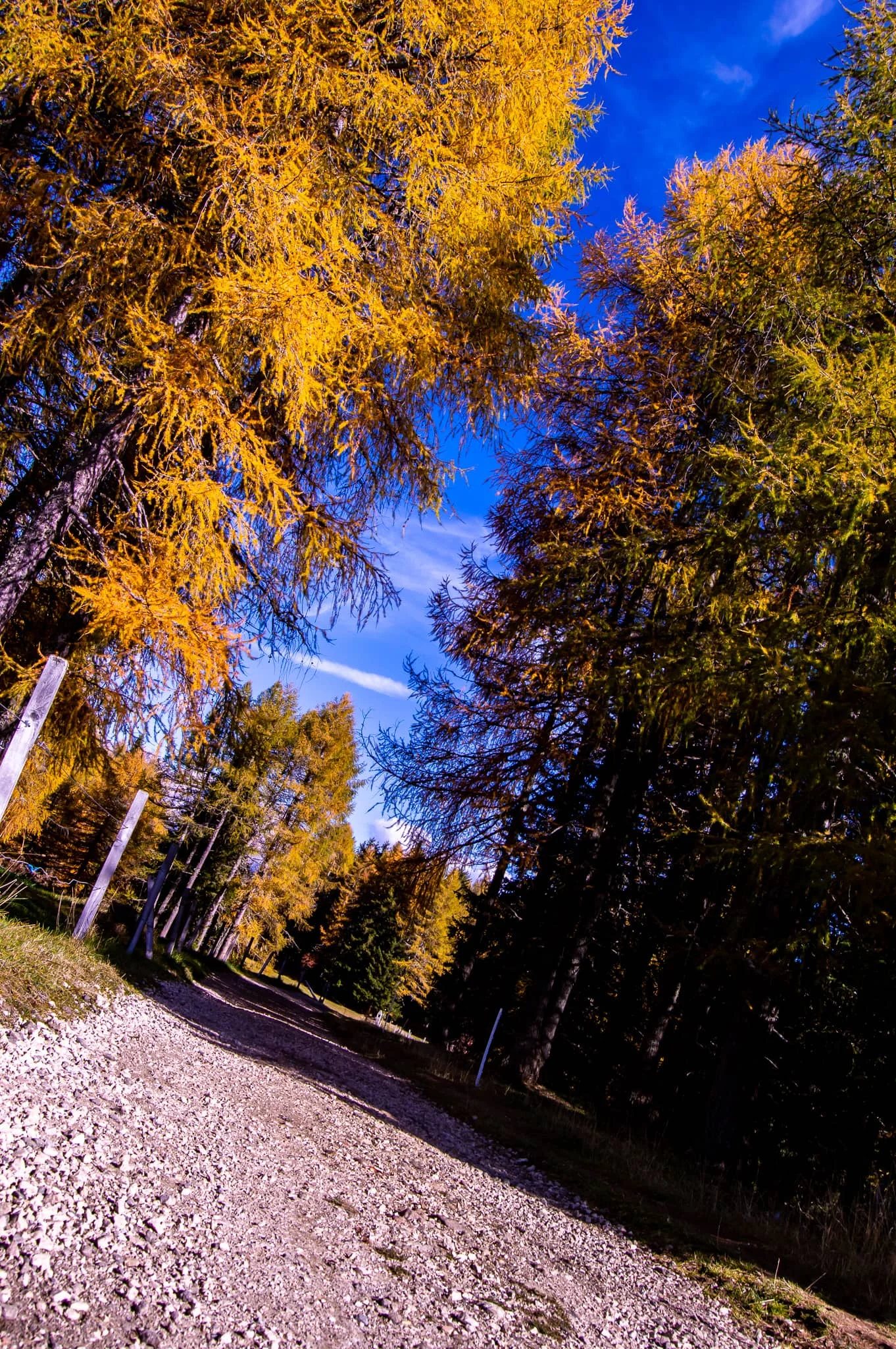 DSC_0147.jpg