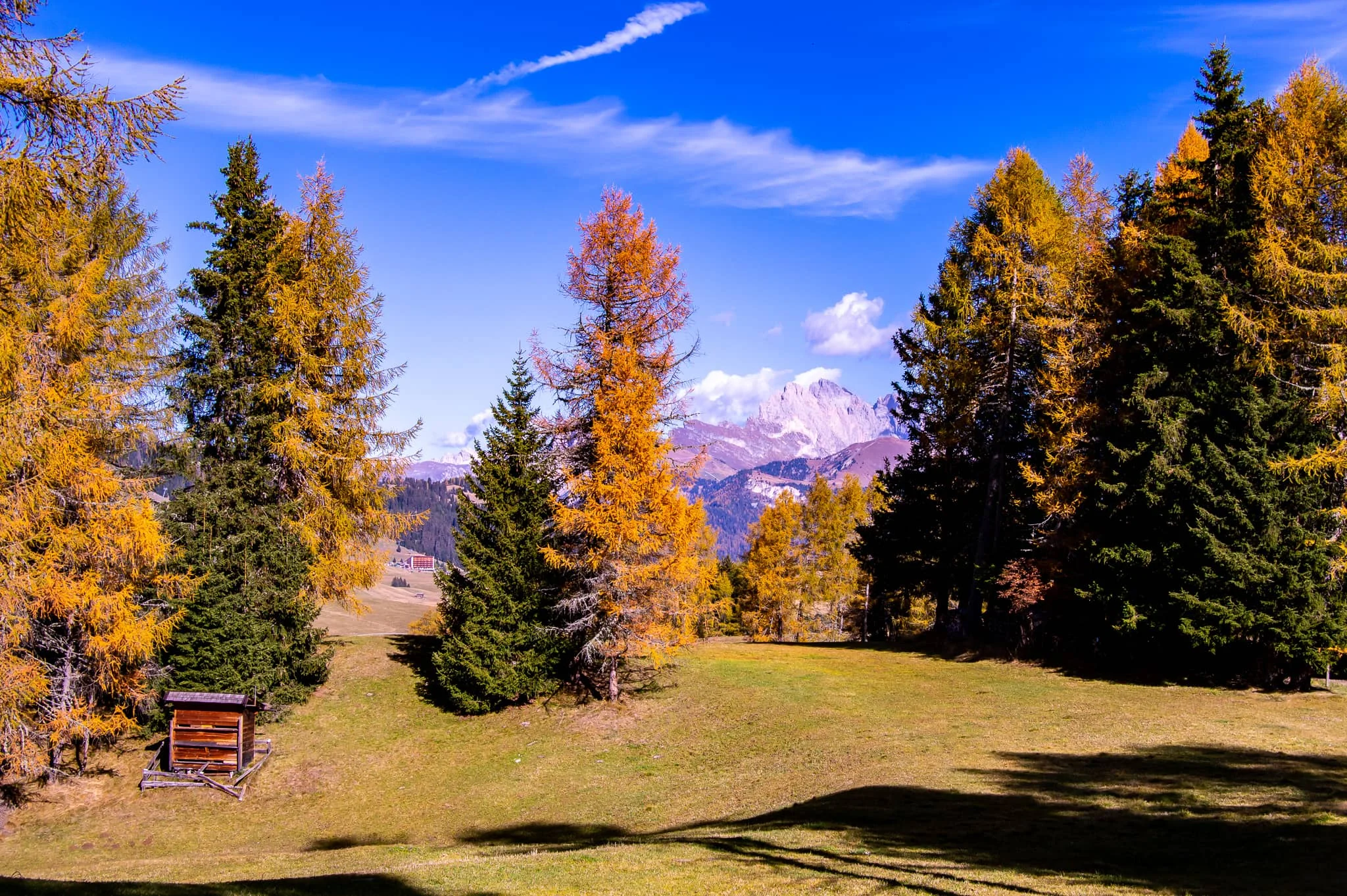 DSC_0149.jpg