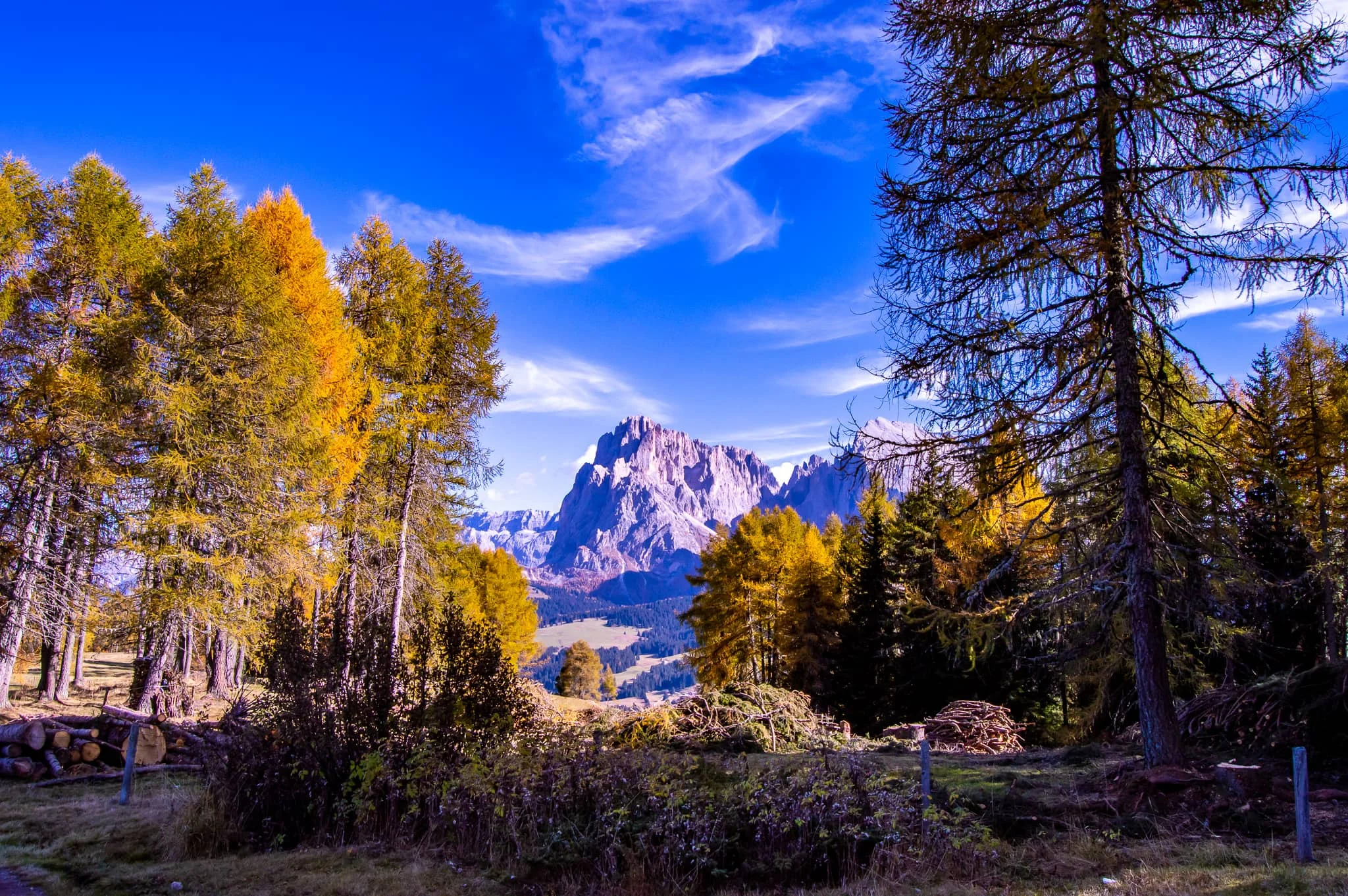 DSC_0151.jpg
