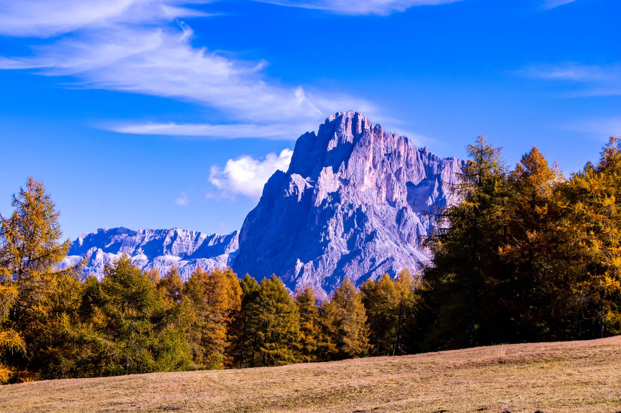 DSC_0158.jpg