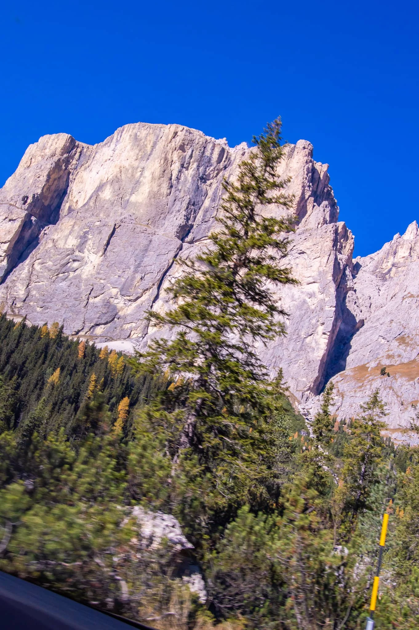 DSC_0095.jpg