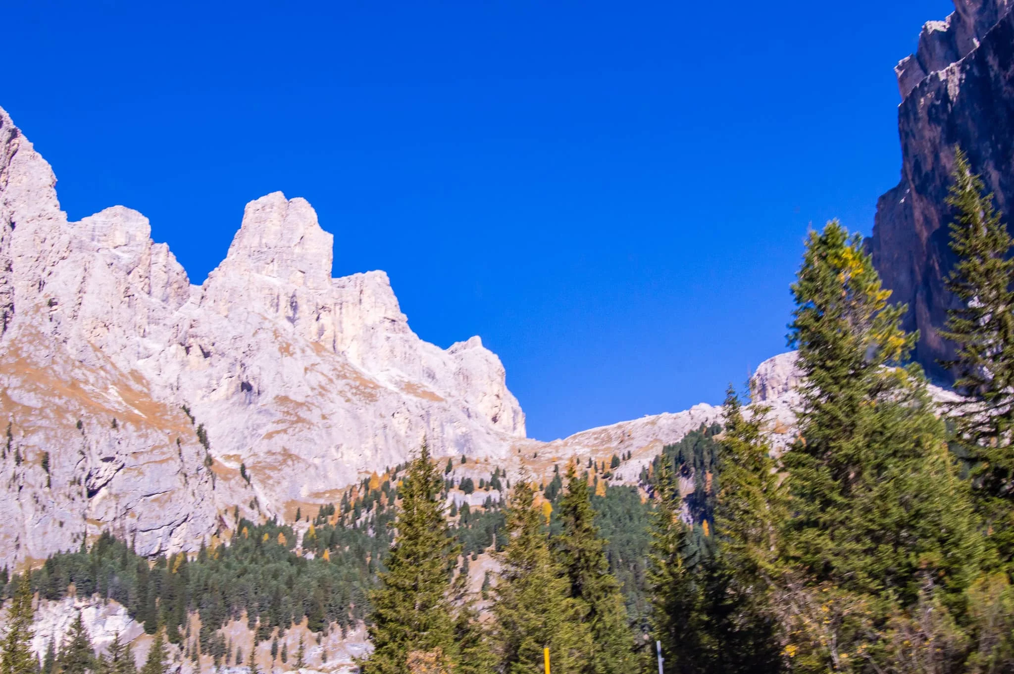 DSC_0096.jpg