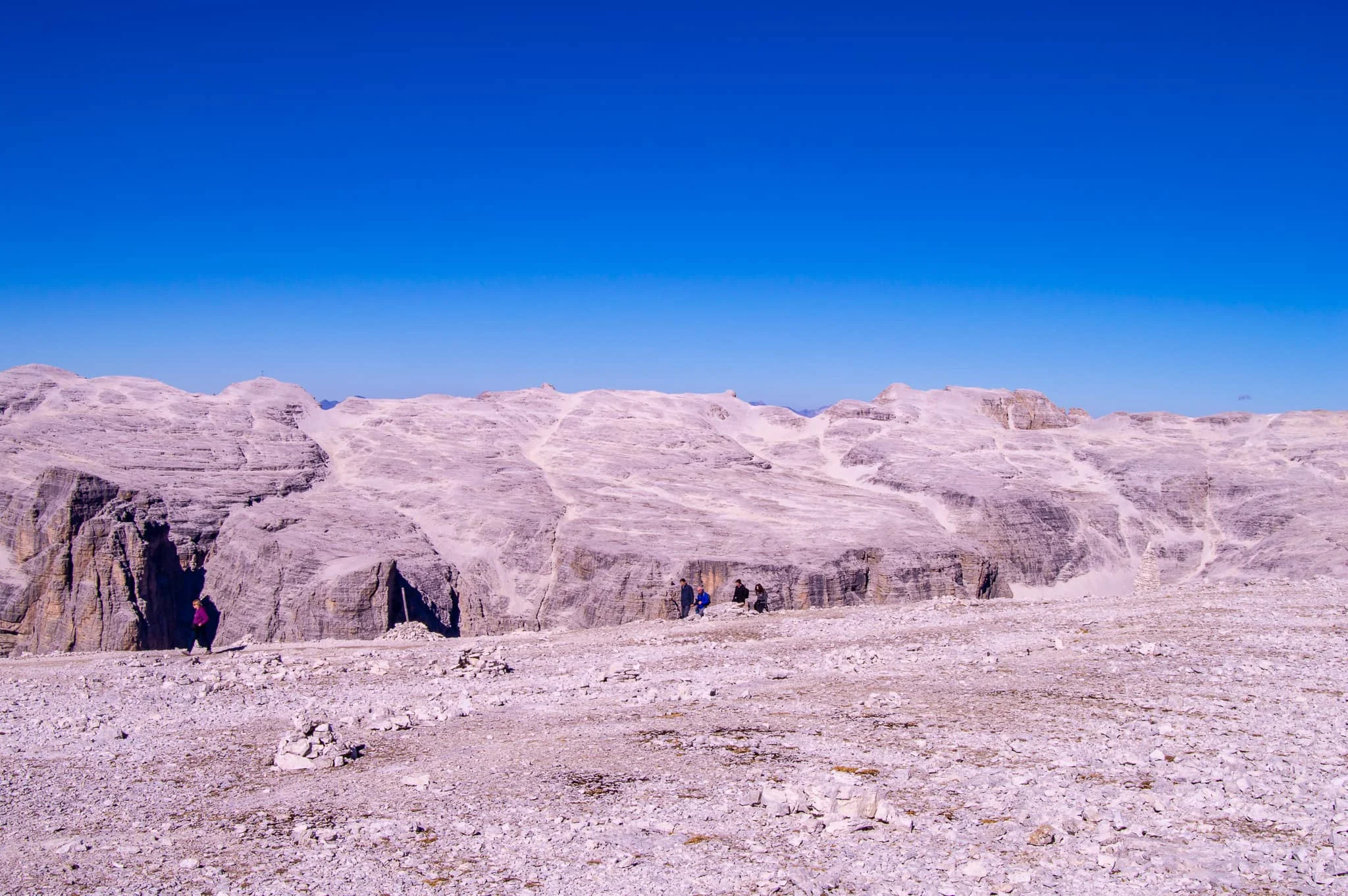 DSC_0088.jpg