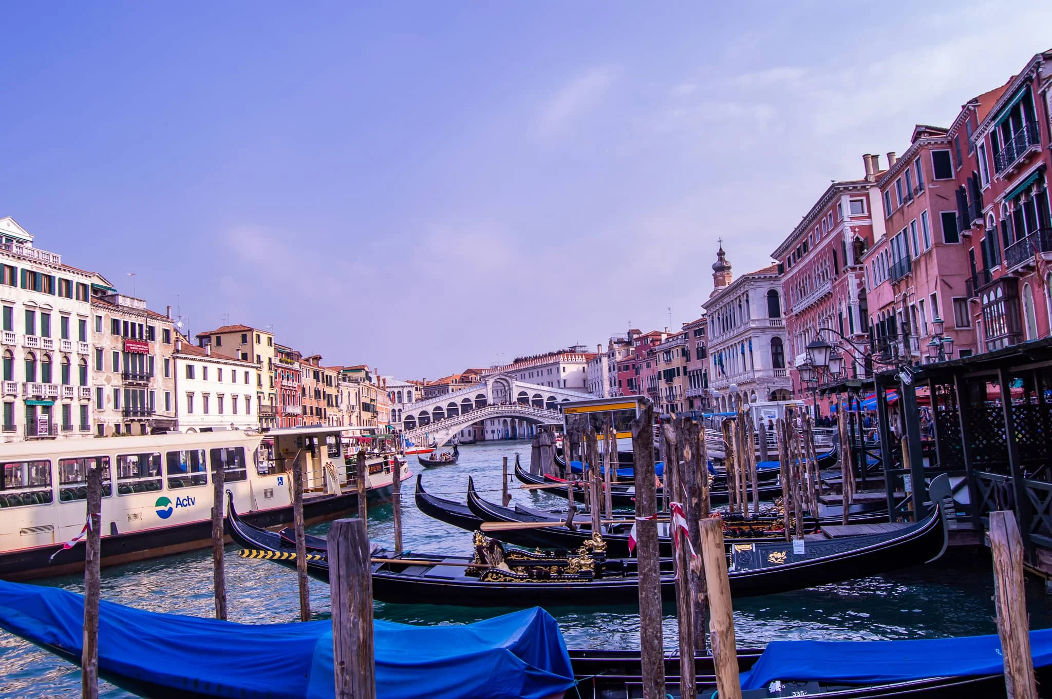 DSC_0175.jpg