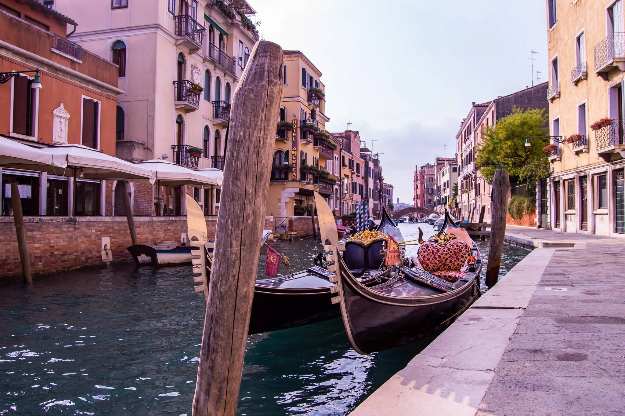 DSC_0200.jpg