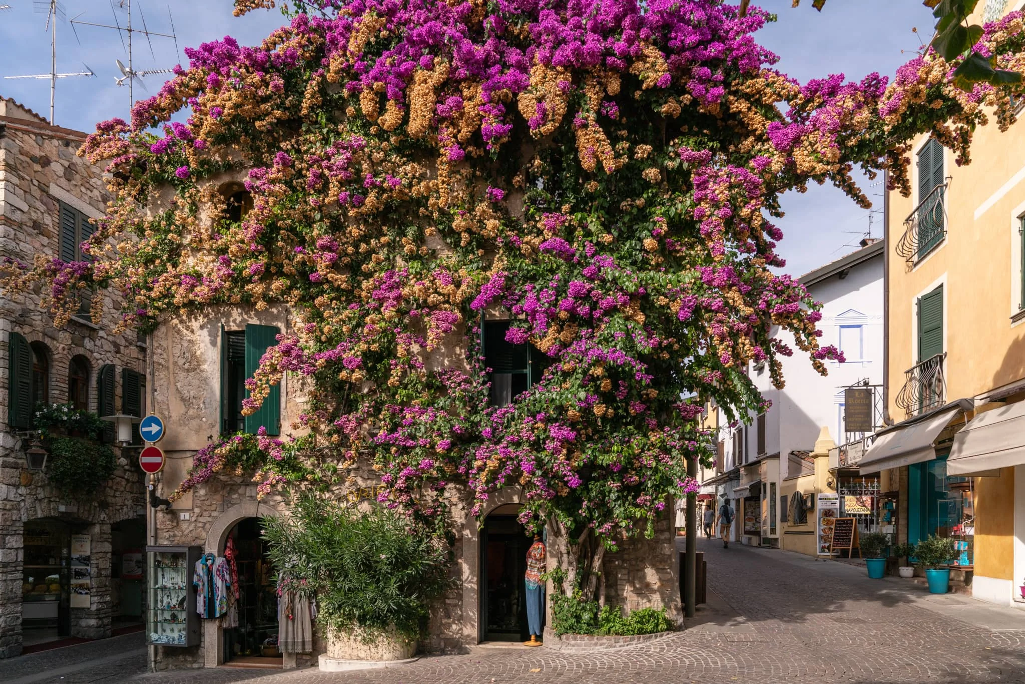 Garda-9.jpg