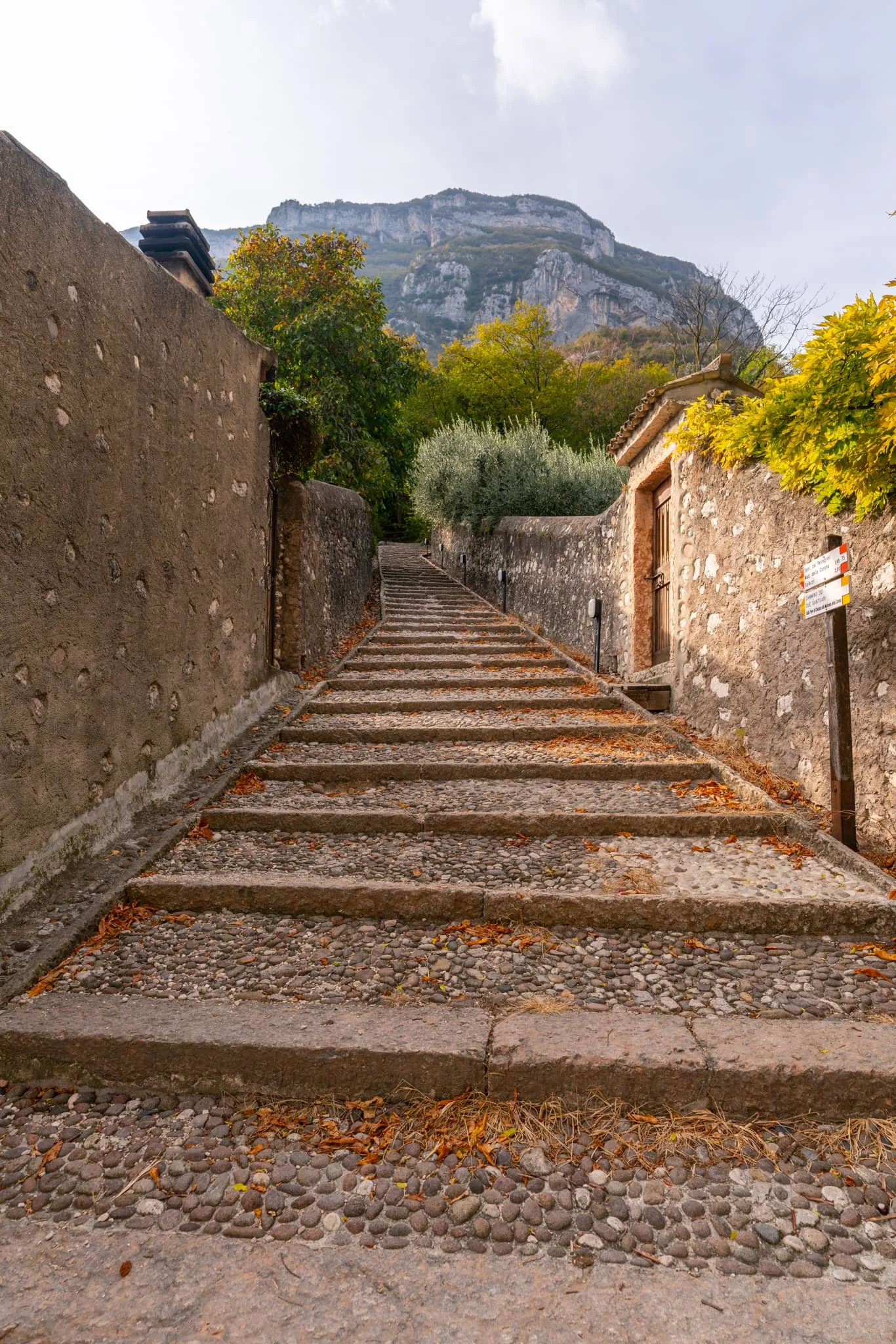 Garda-11.jpg