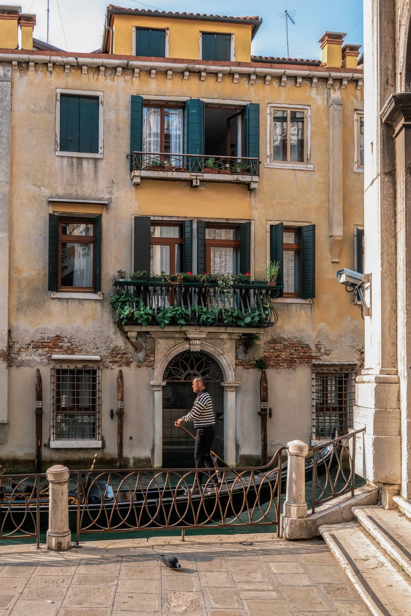Garda-9.jpg