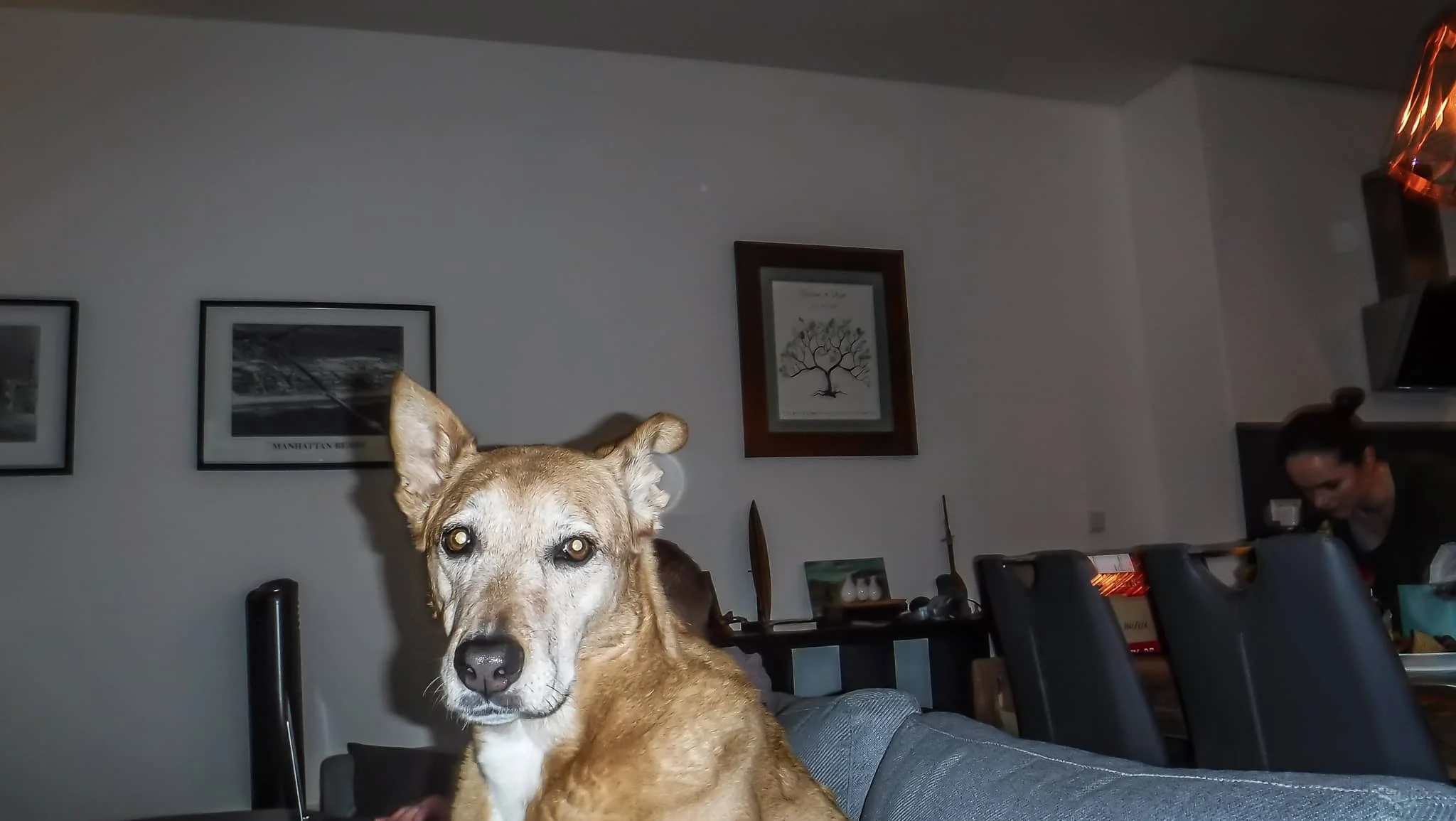 DSCF0147.jpg