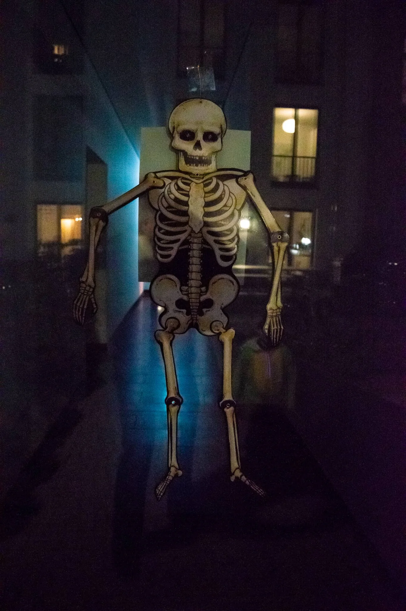 DSC_0277.jpg