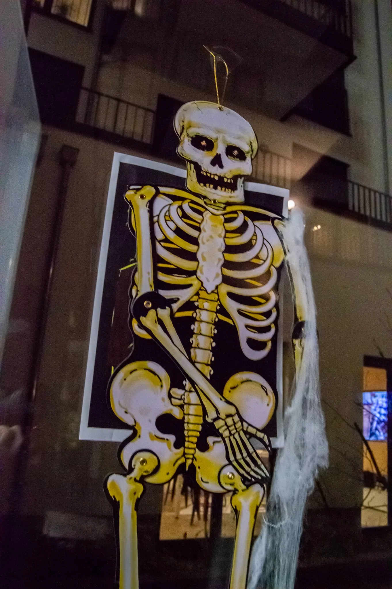 DSC_0304.jpg