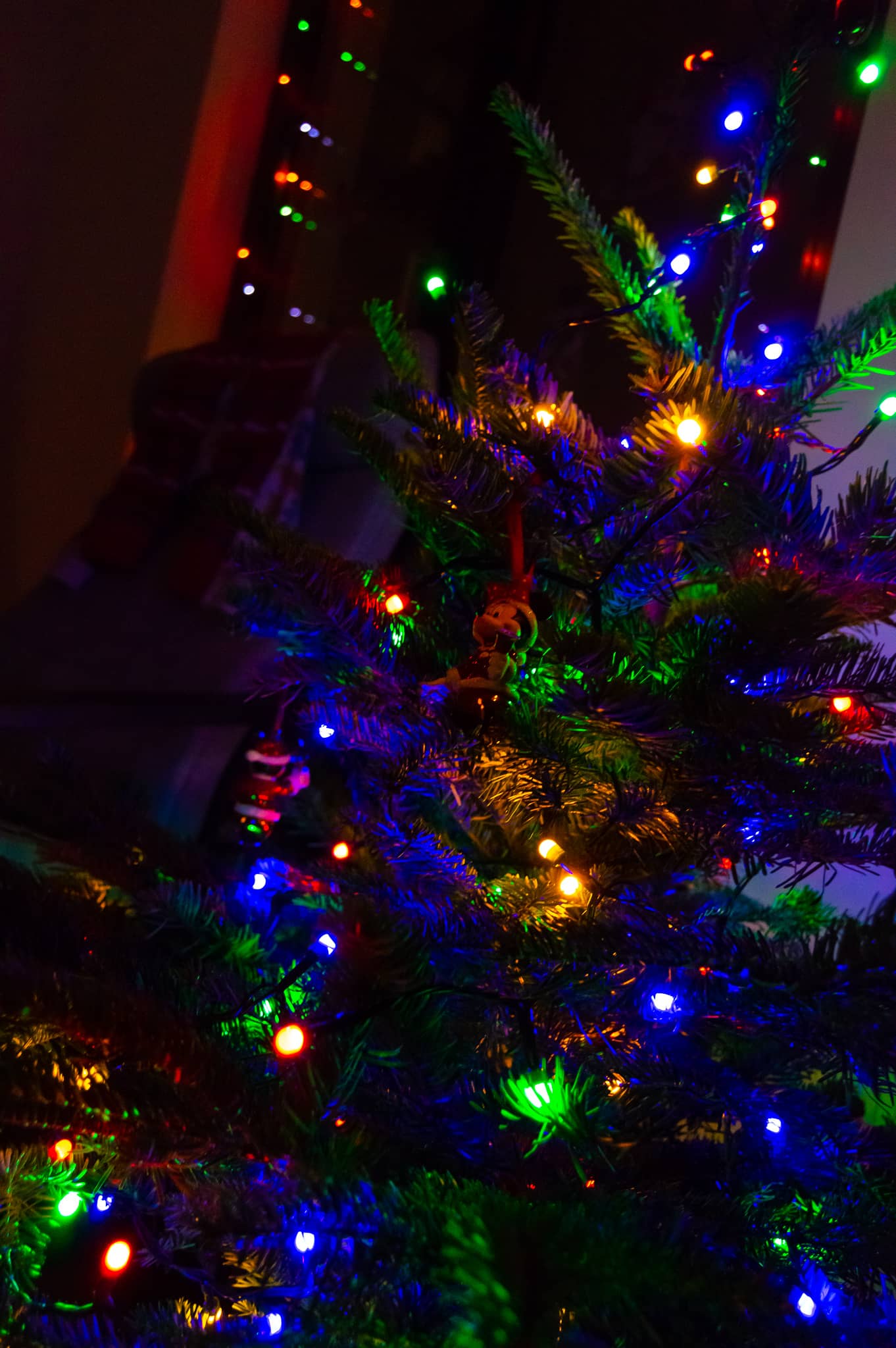DSC_0887.jpg