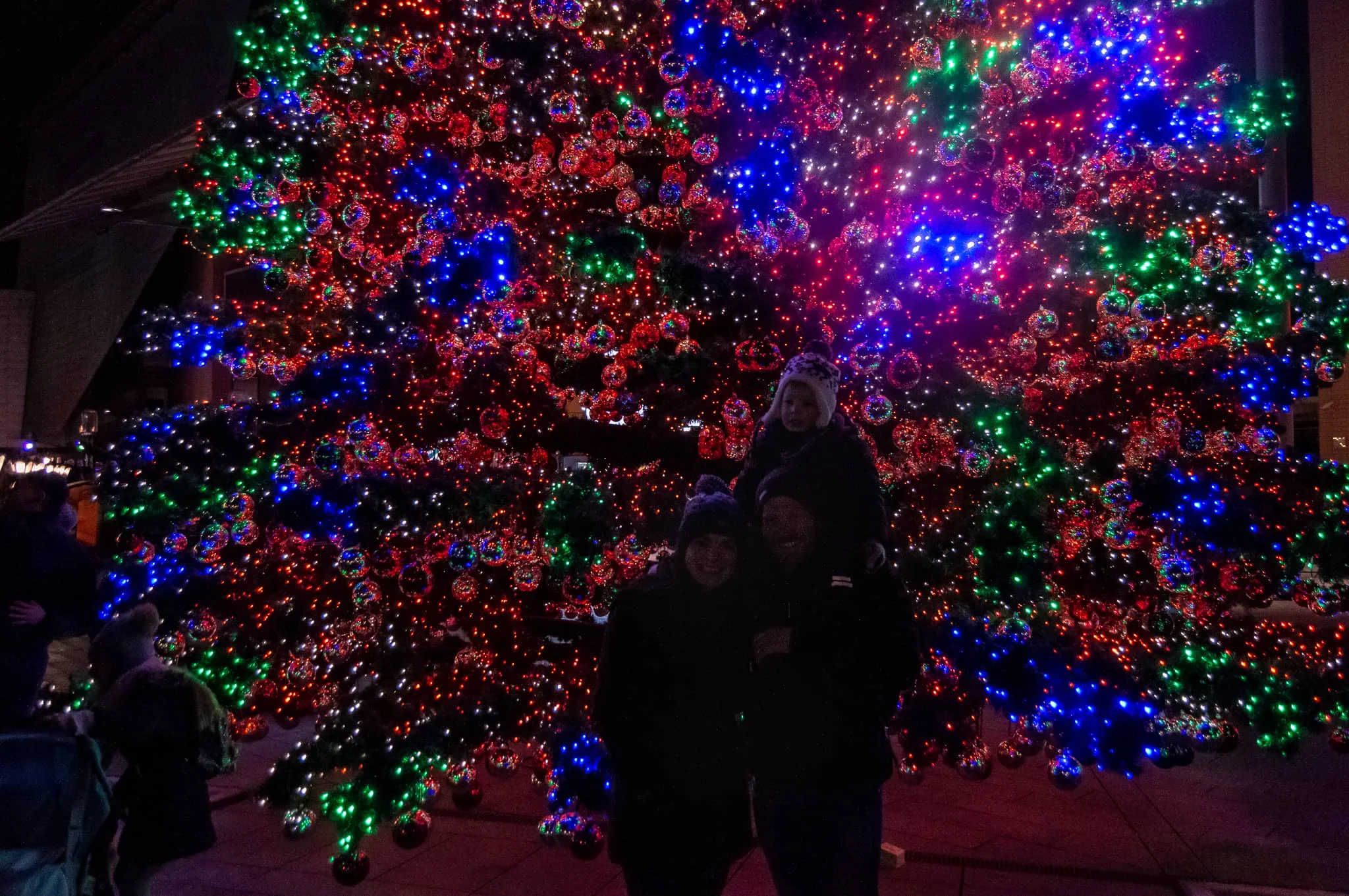 DSC_0113.jpg