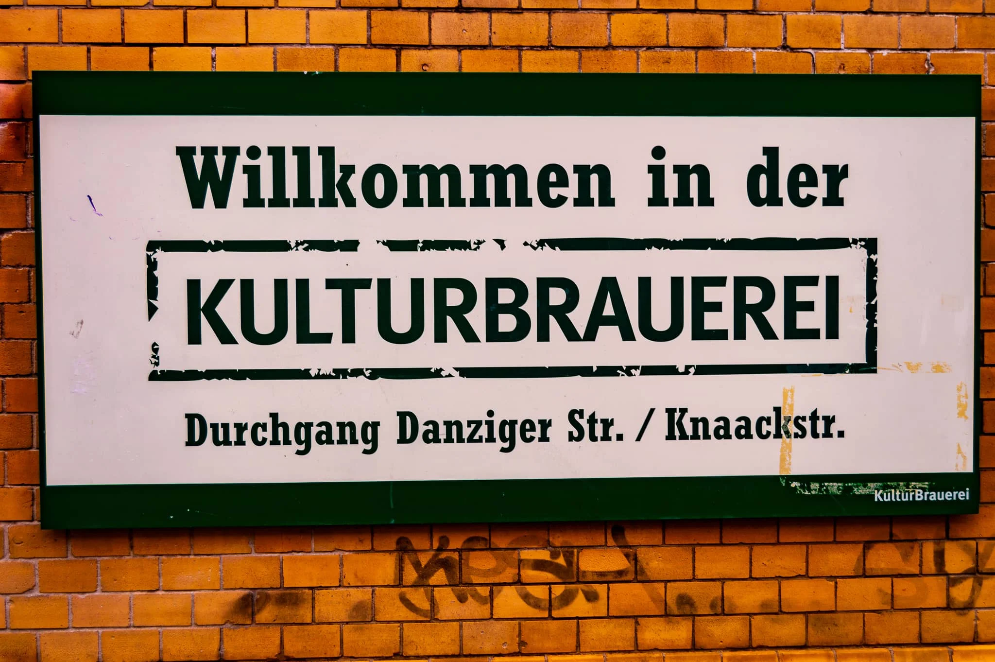DSC_0461.jpg