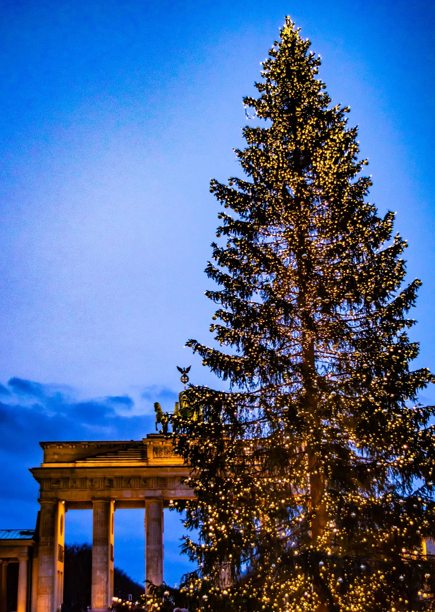 DSC_0493.jpg