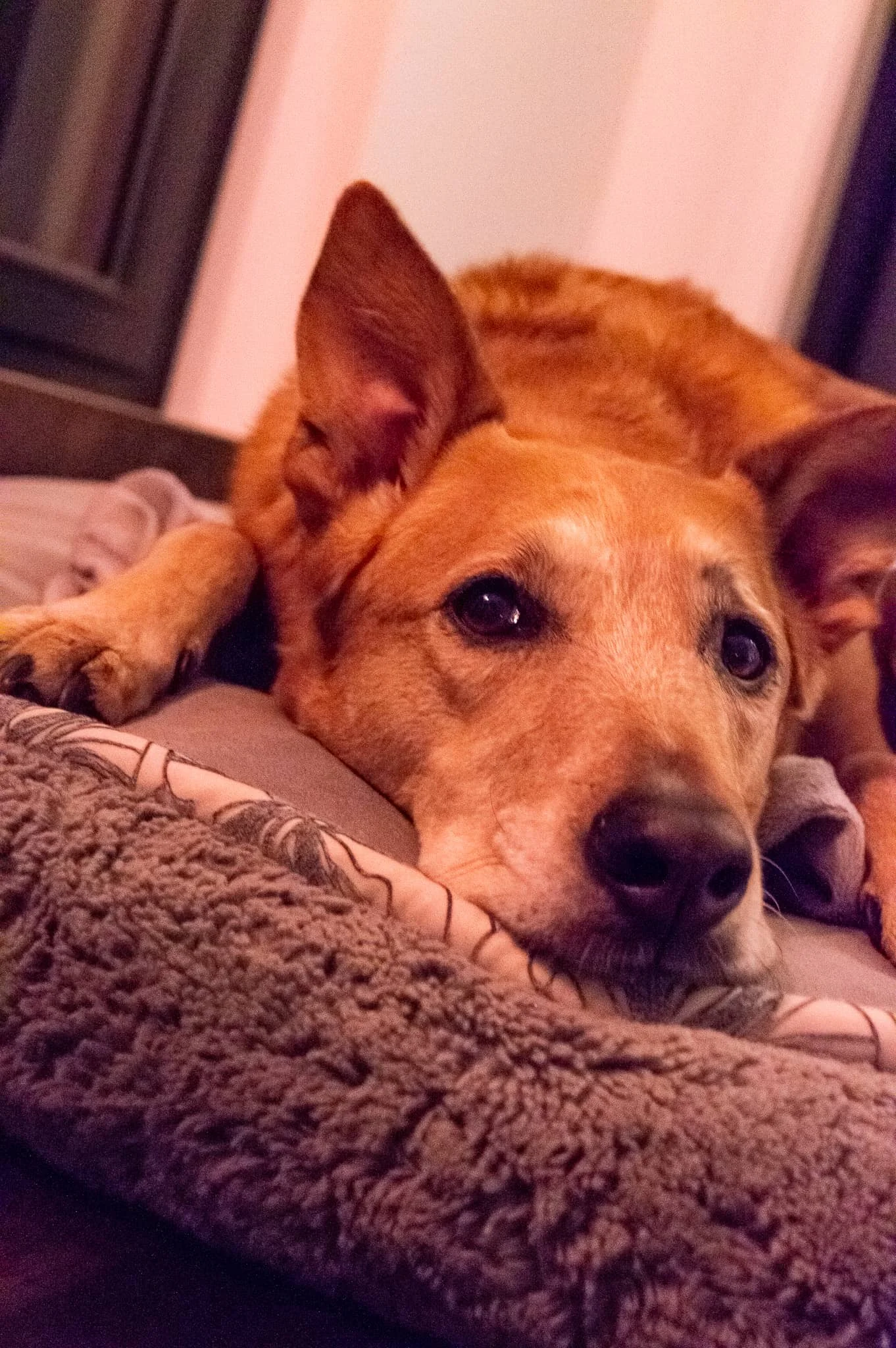 DSC_0541.jpg