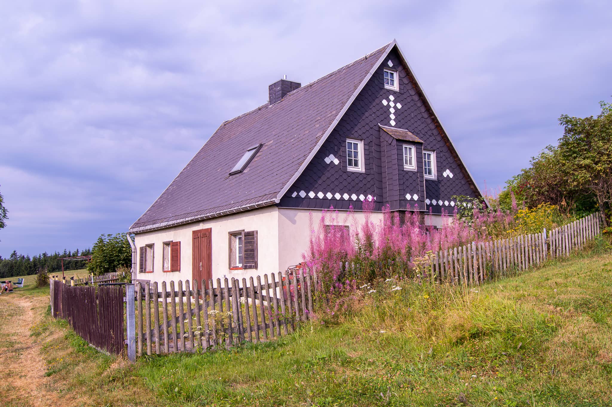 DSC_0051.jpg