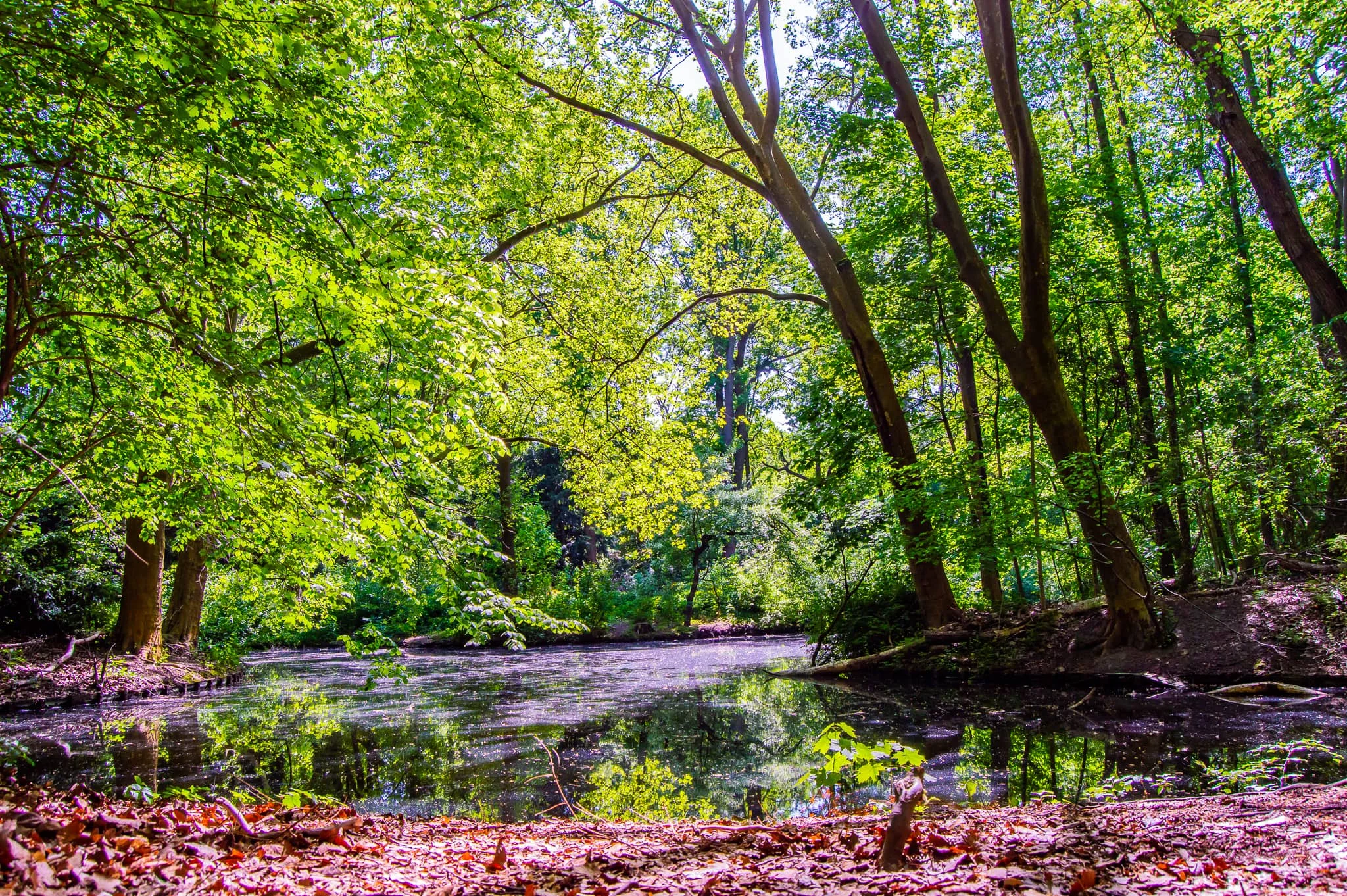 DSC_0354.jpg