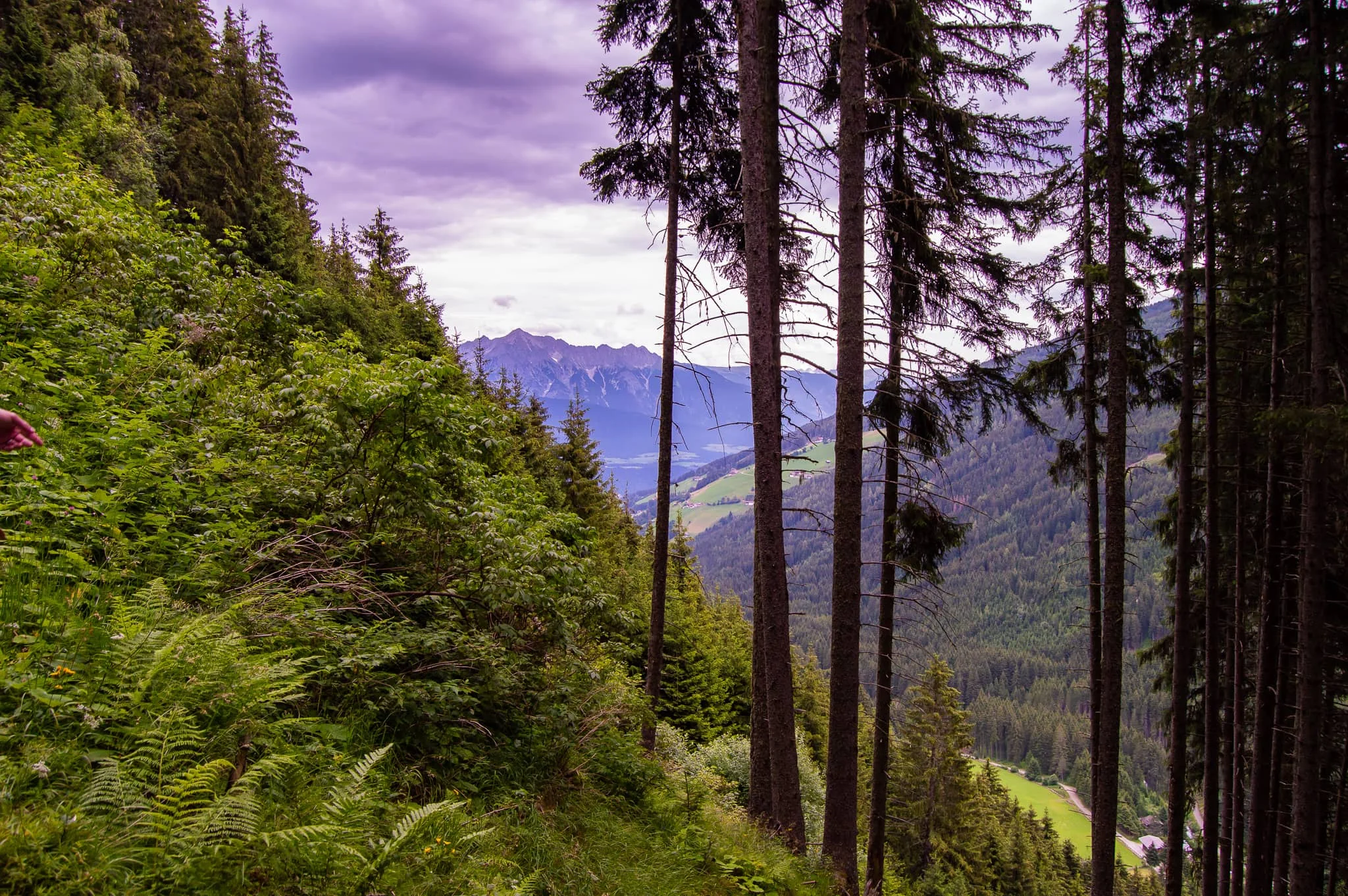 DSC_0490.jpg