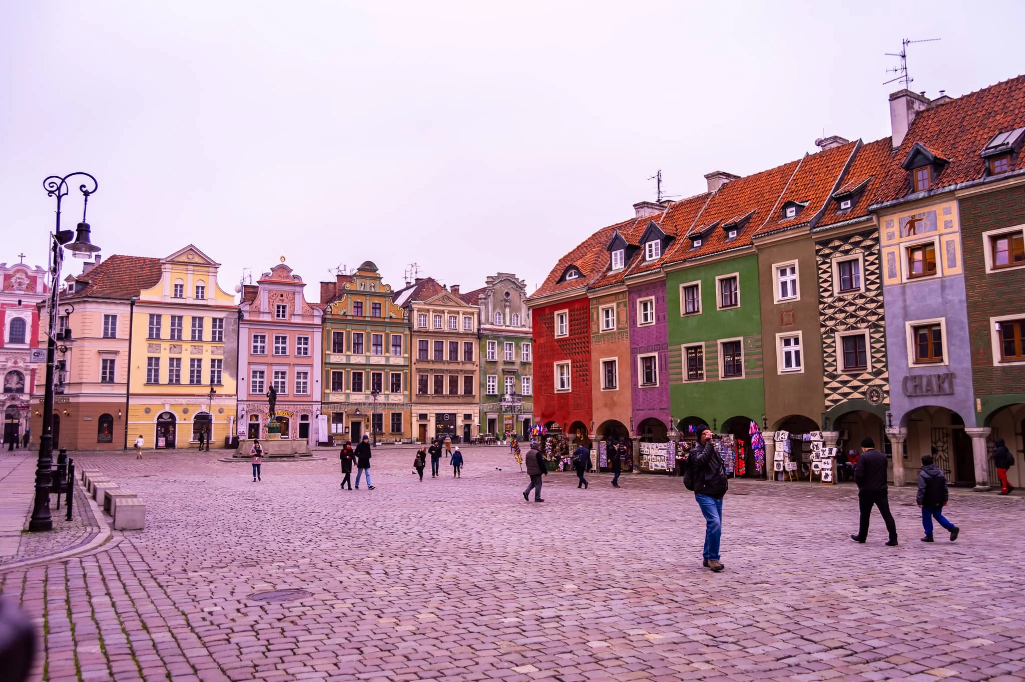 DSC_0540.jpg