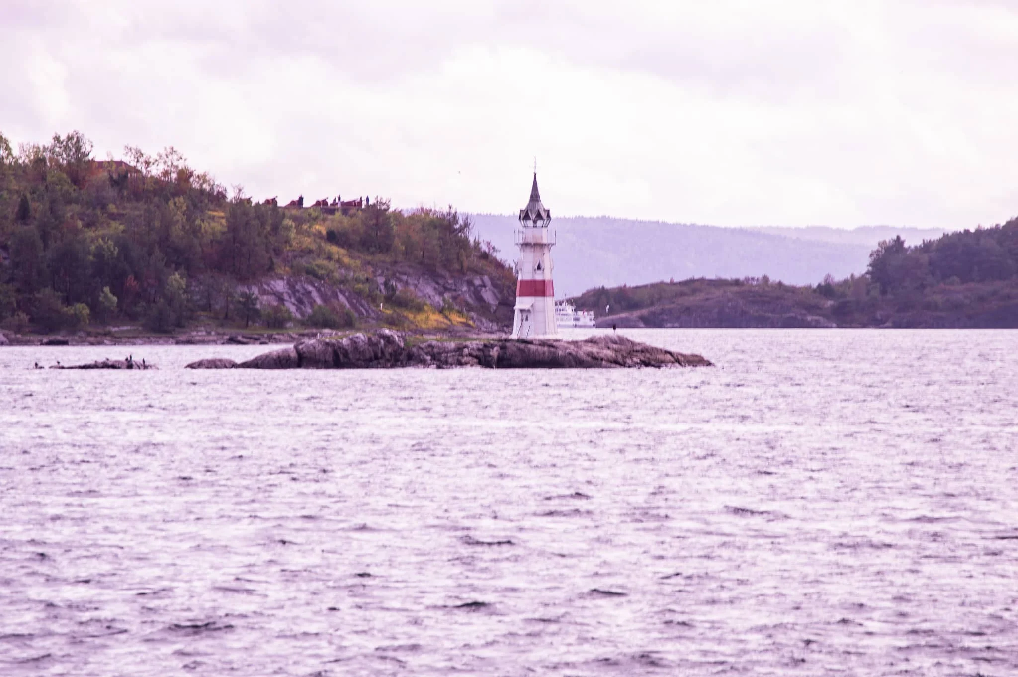 DSC_0698.jpg