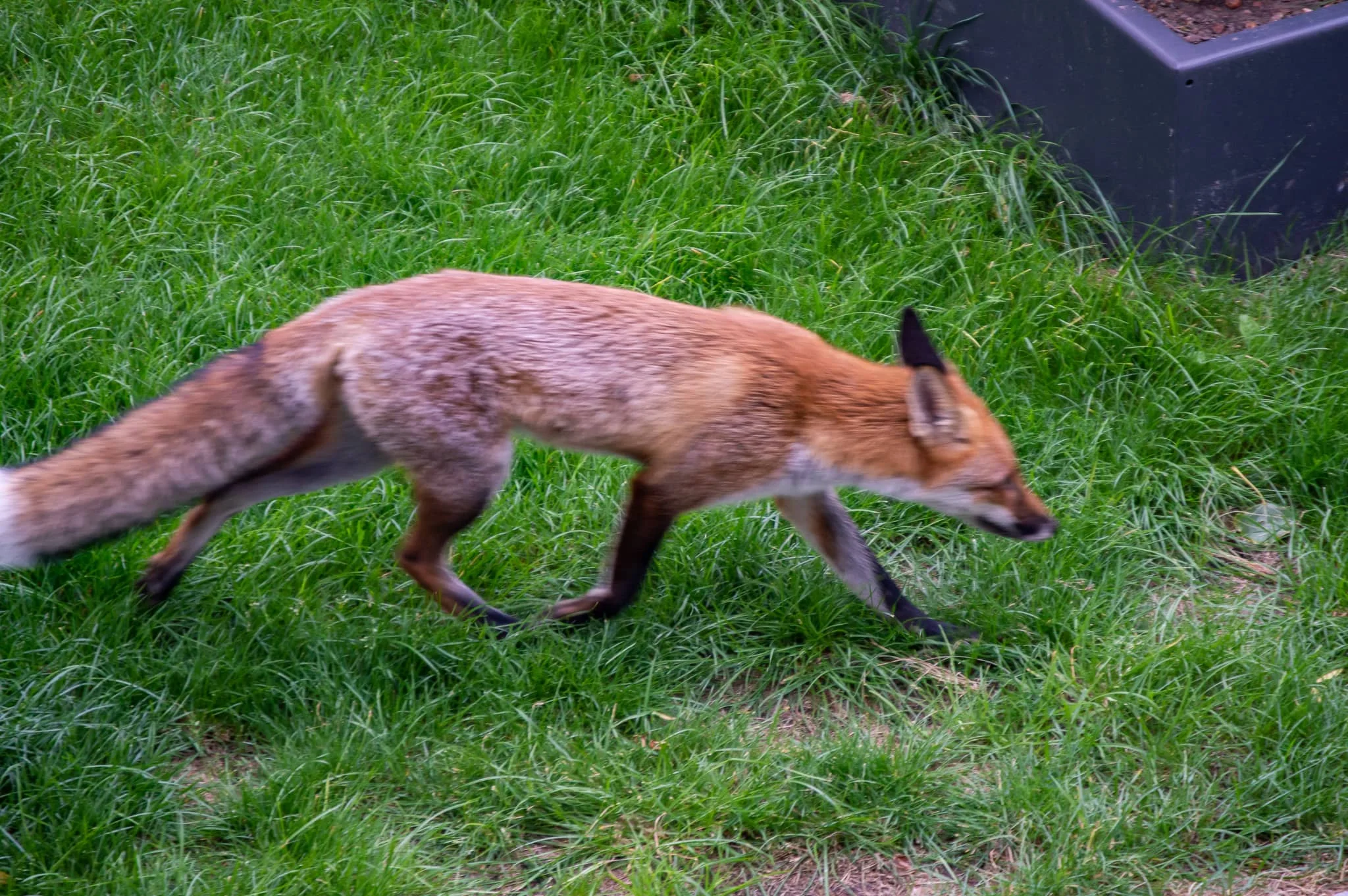 DSC_0805.jpg