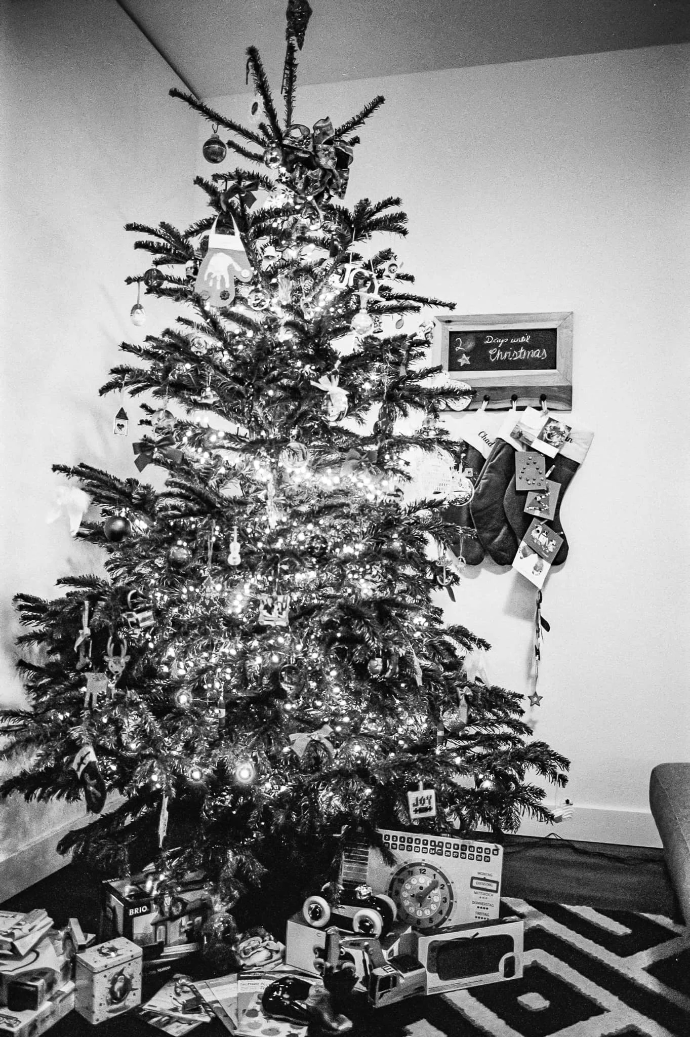 TriX_011.jpg