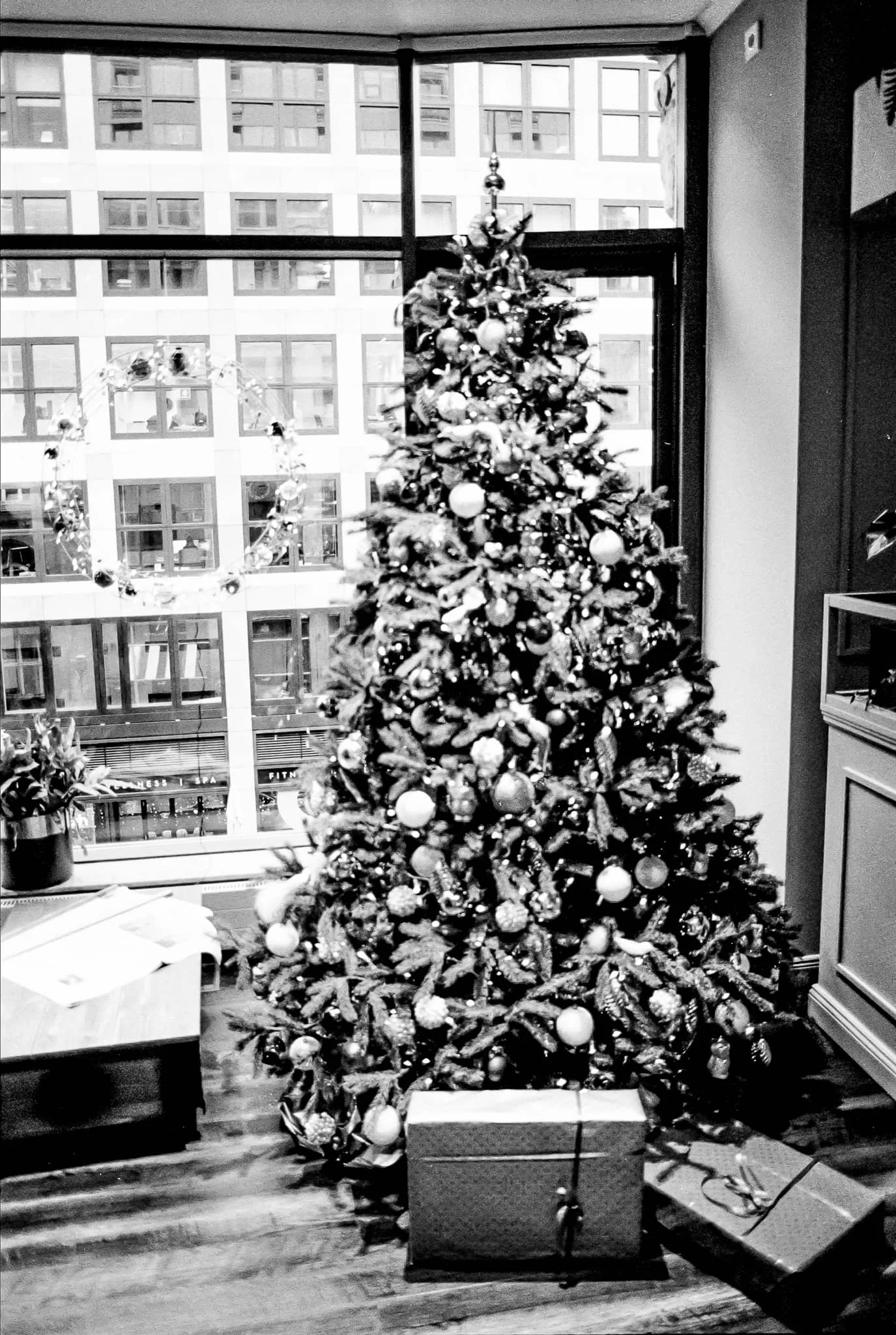 TriX_026.jpg