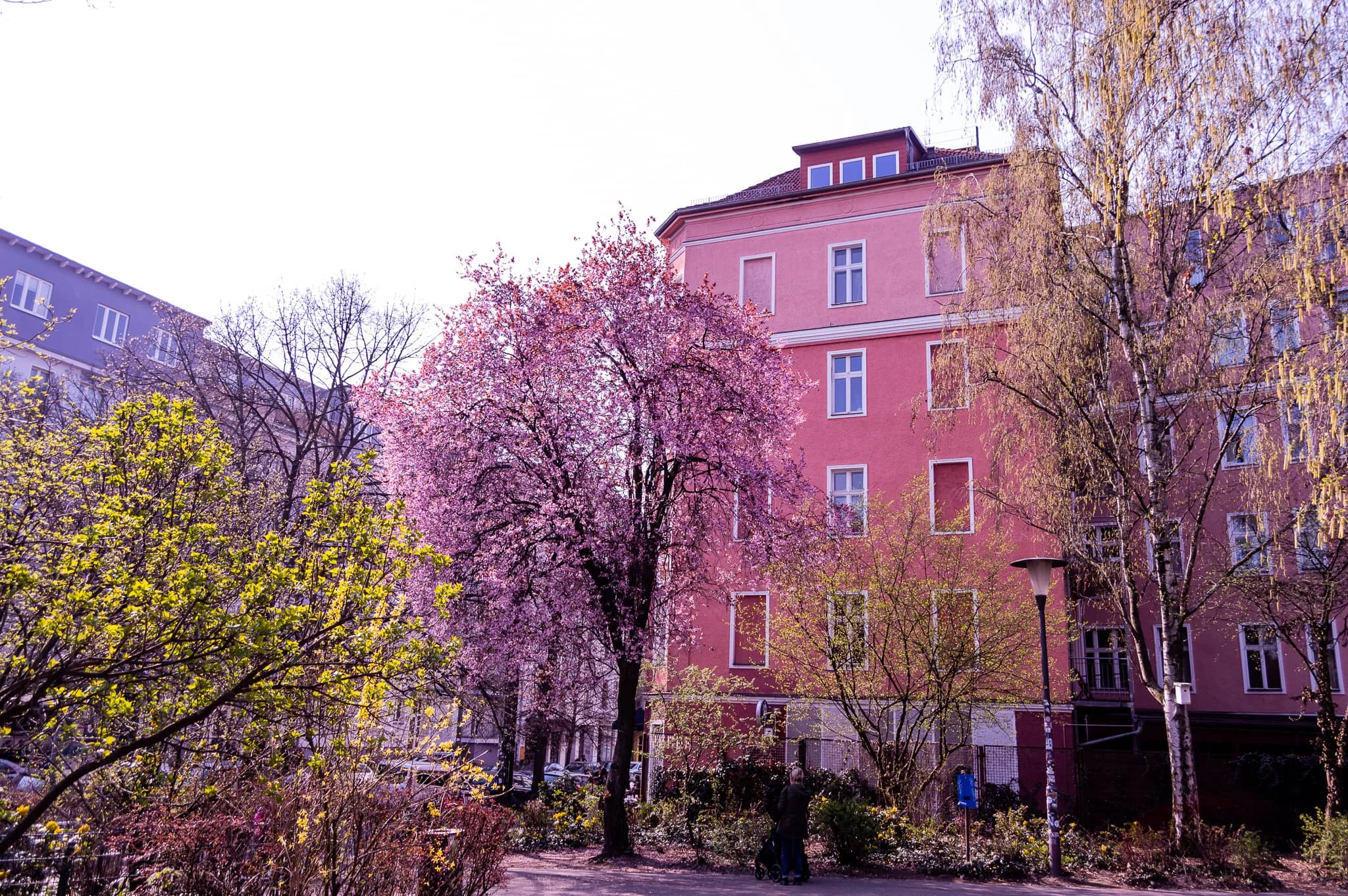 DSC_0065.jpg