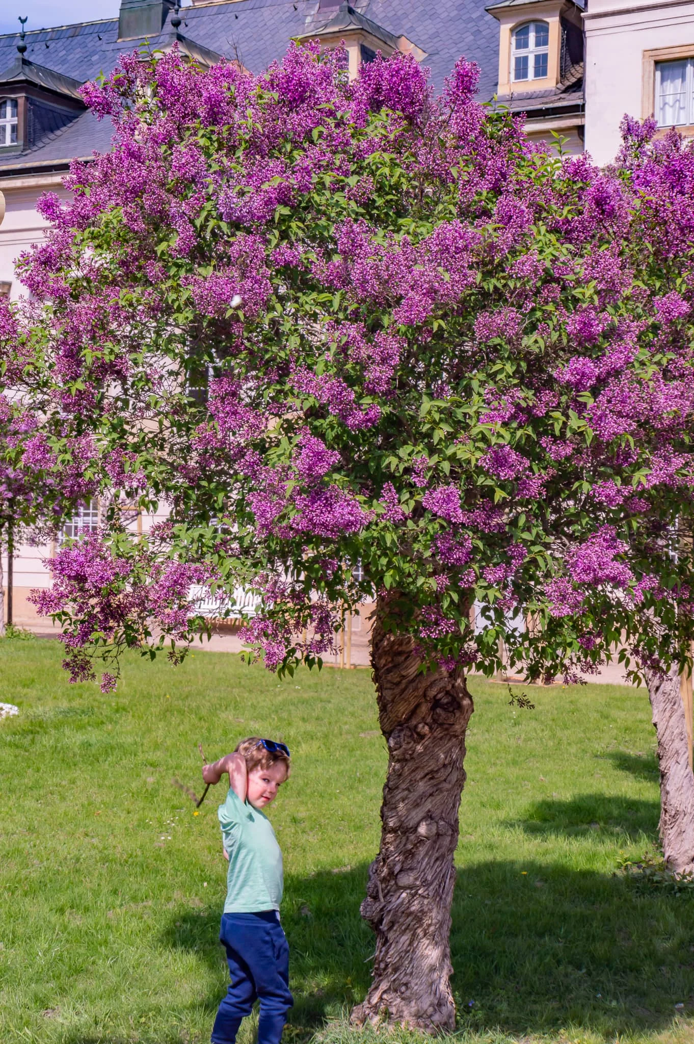 DSC_0798.jpg