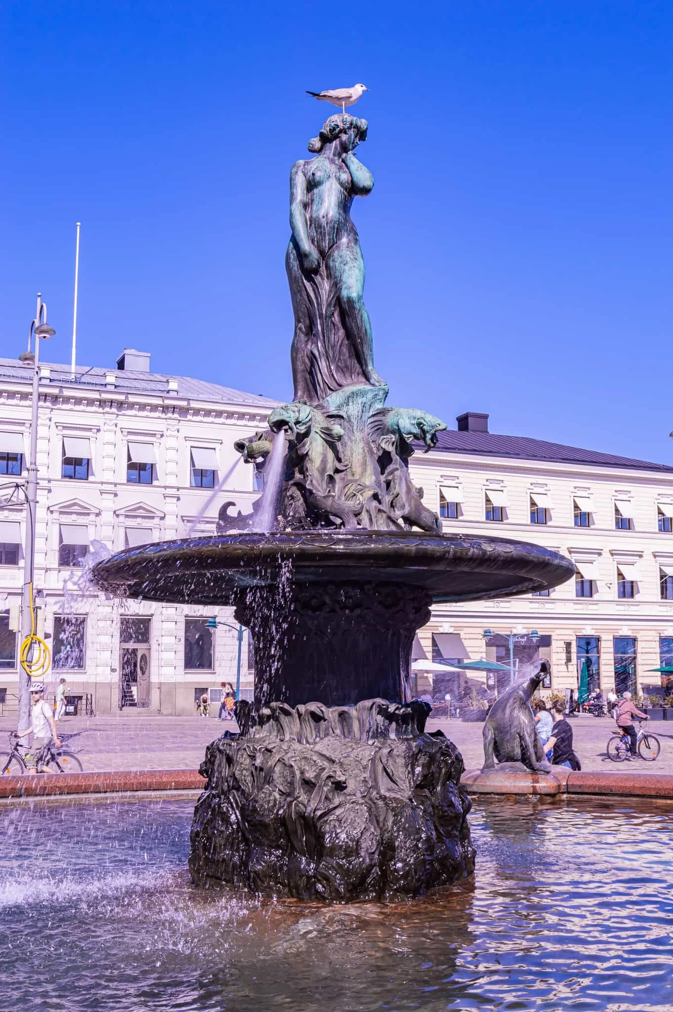 DSC_0083.jpg