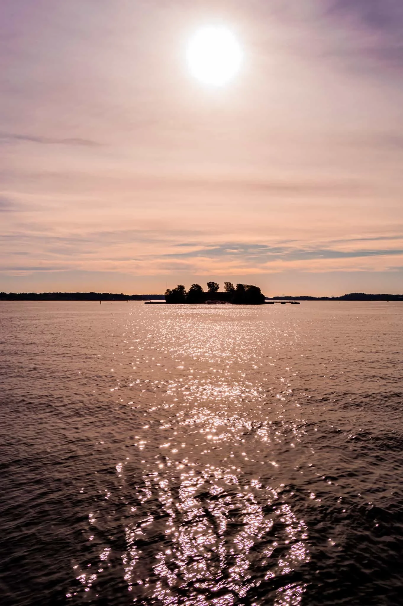 DSC_0466.jpg