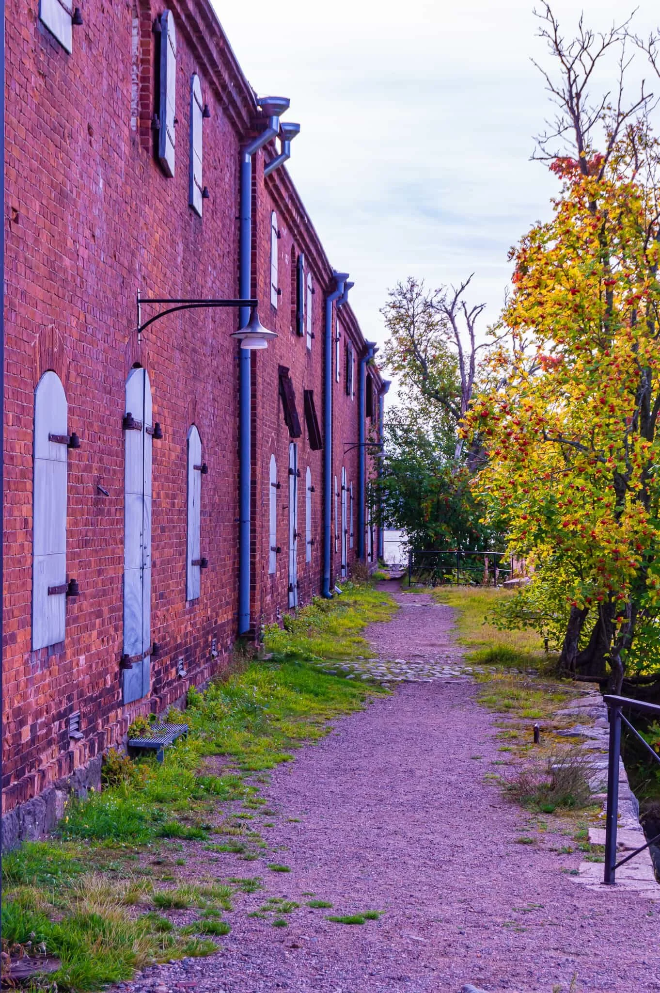 DSC_0495.jpg