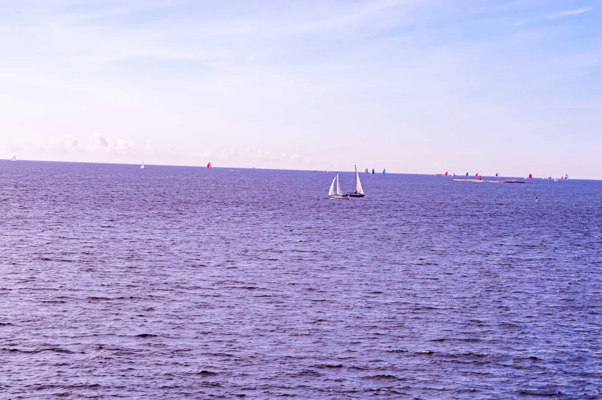DSC_0557.jpg