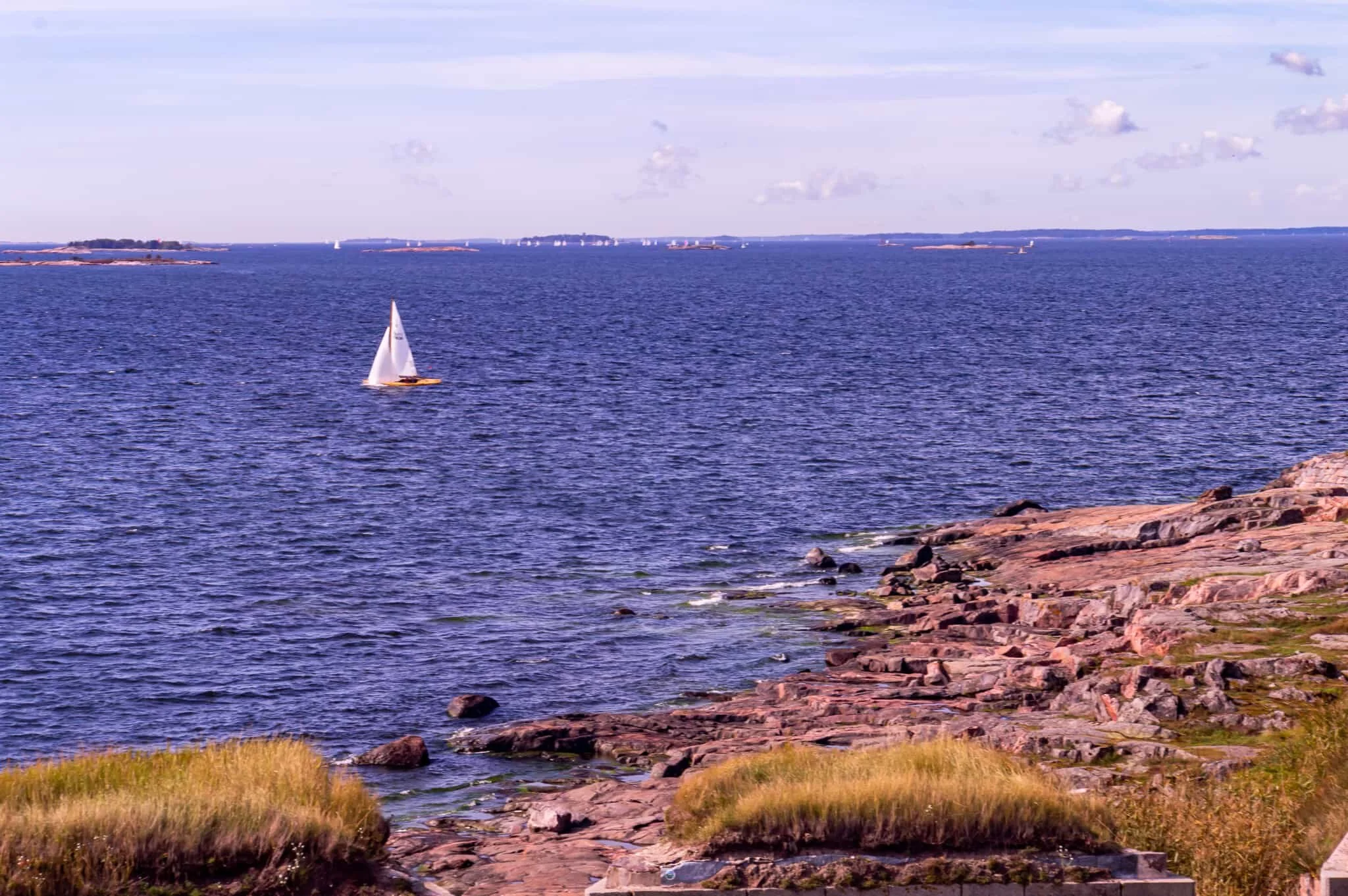 DSC_0659.jpg