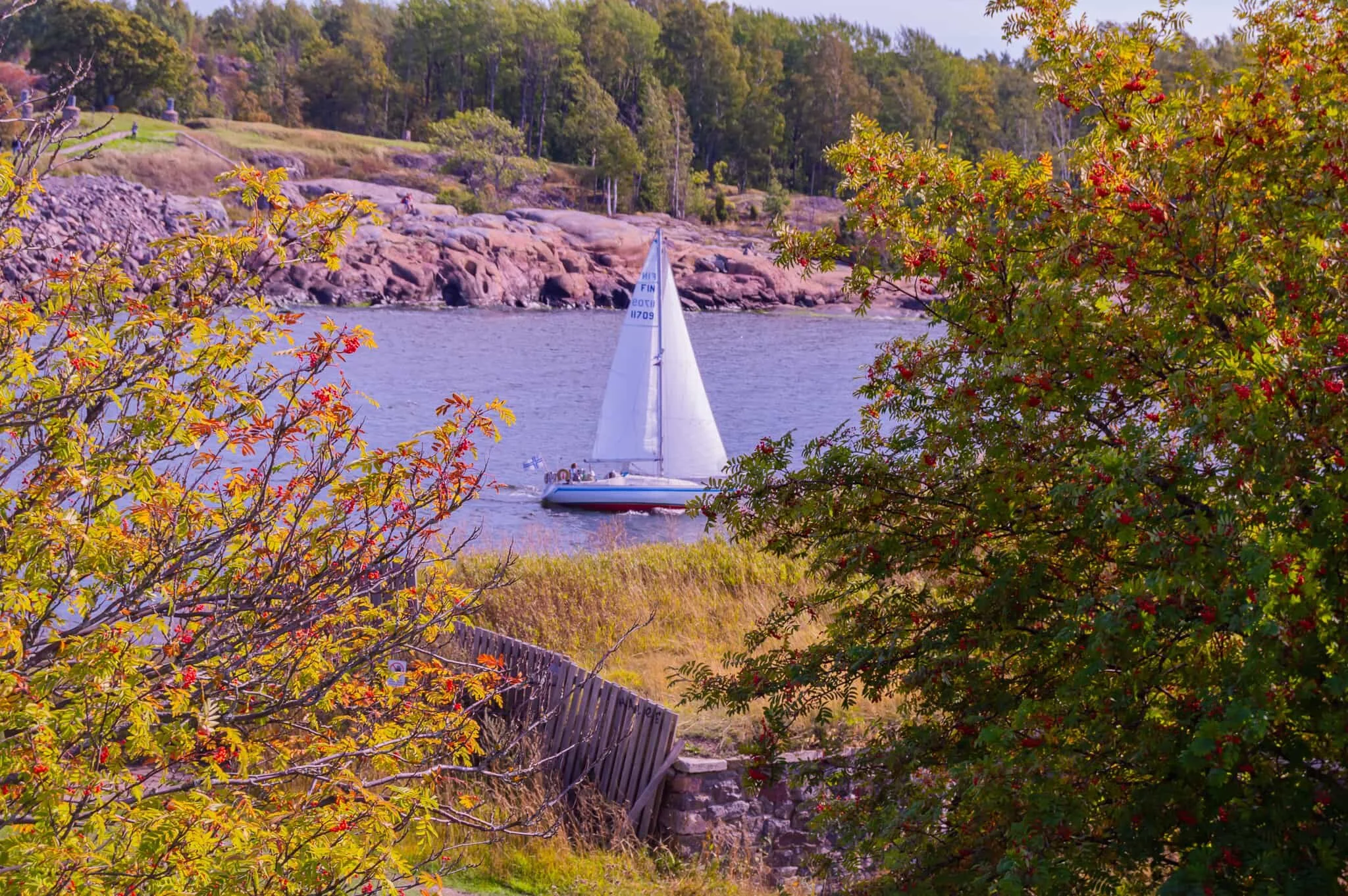 DSC_0662.jpg
