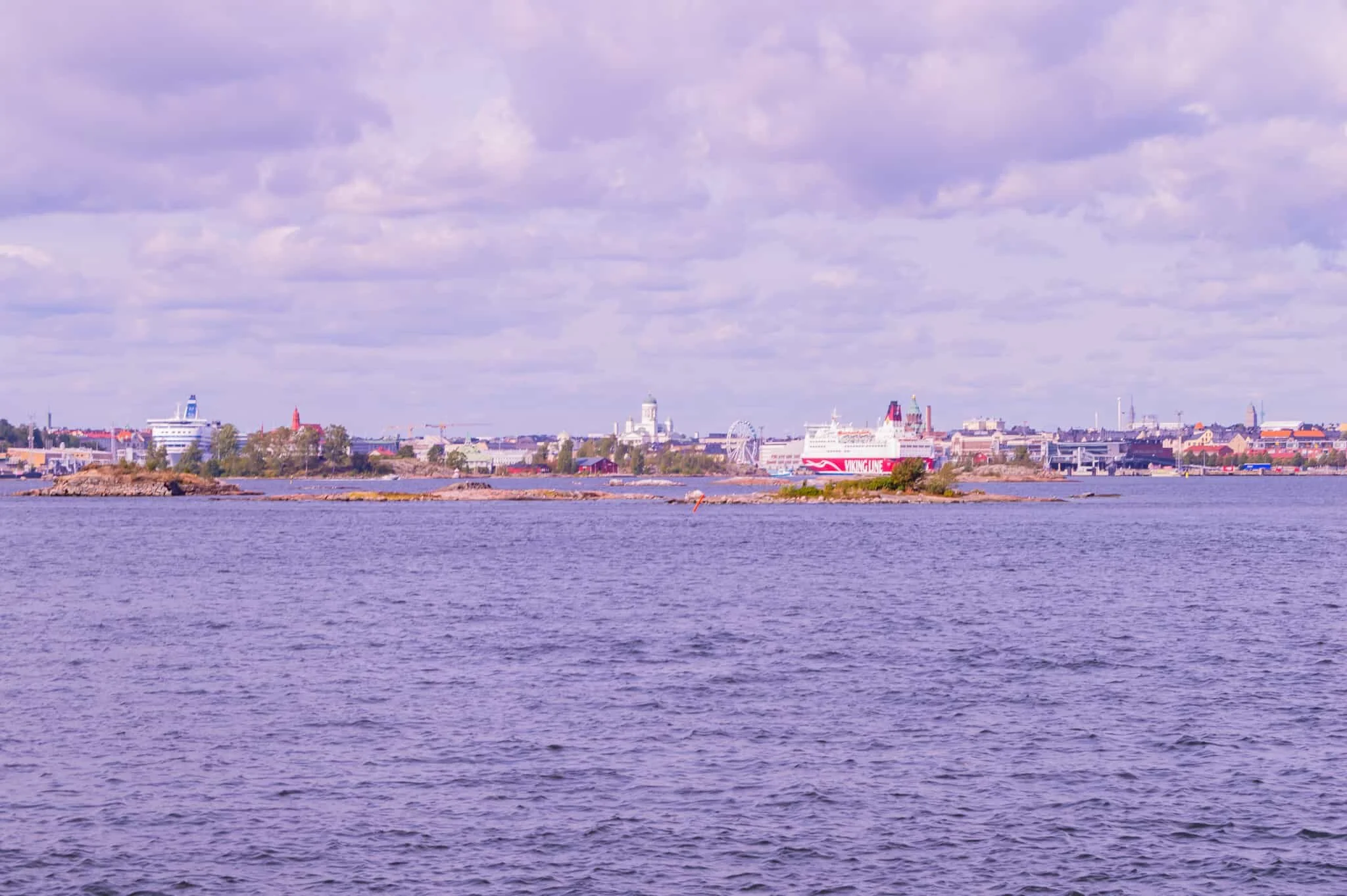 DSC_0682.jpg