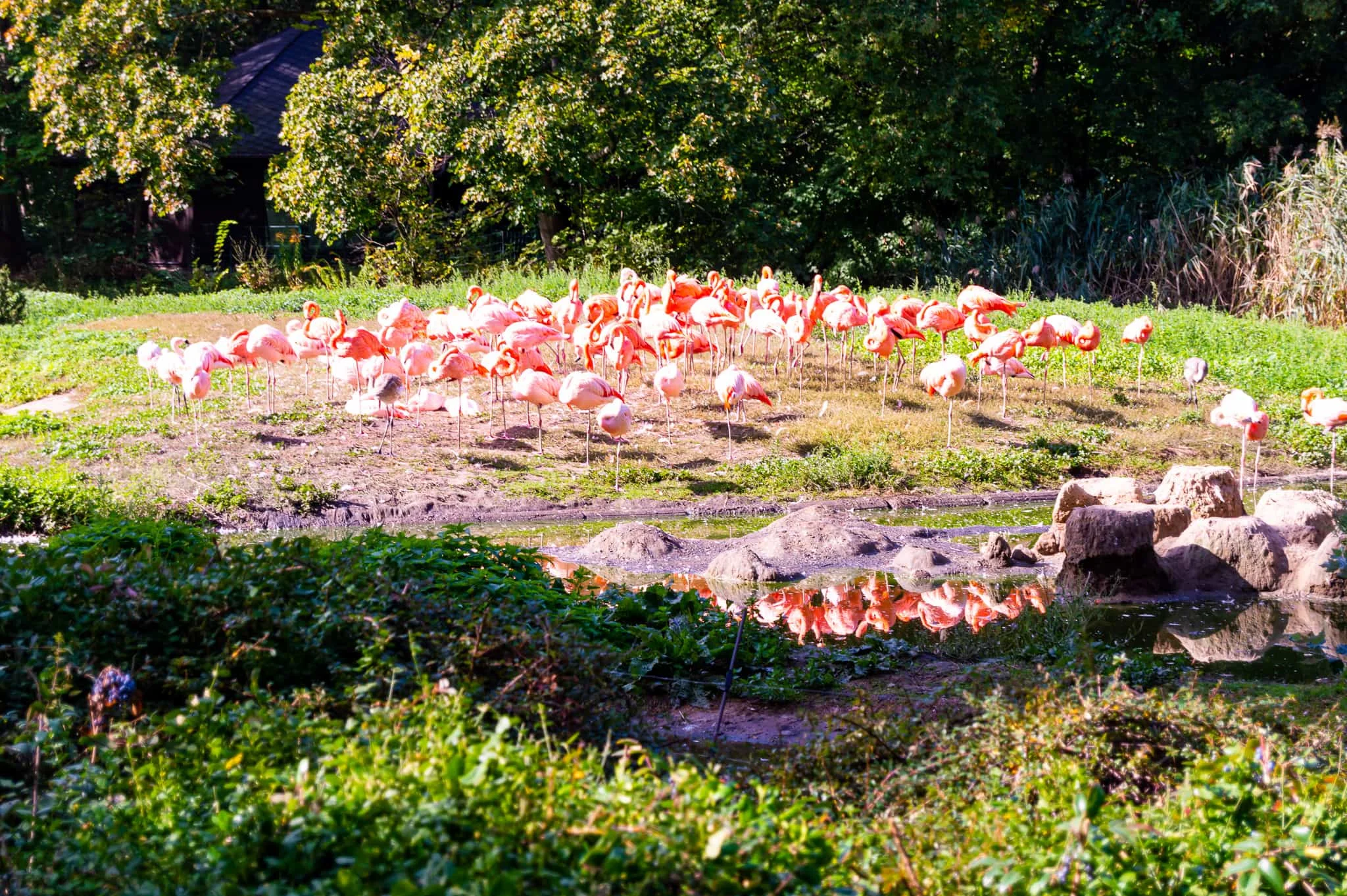 DSC_0011.jpg