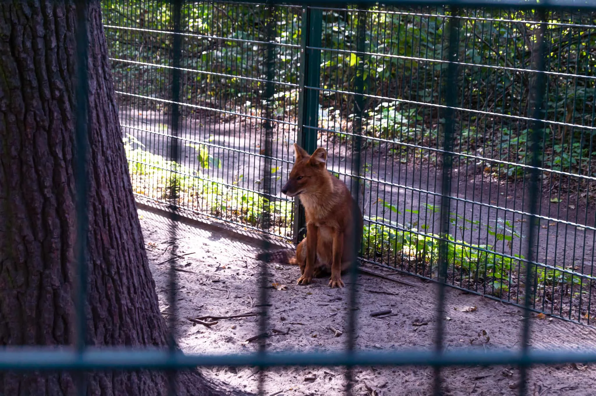 DSC_0014.jpg