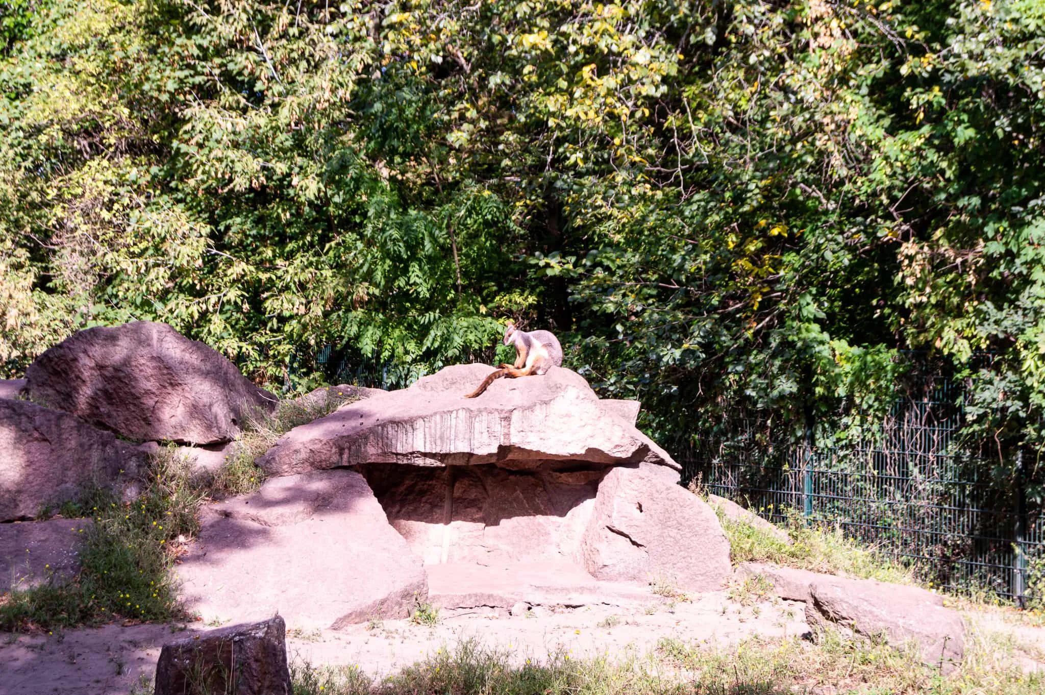 DSC_0019.jpg
