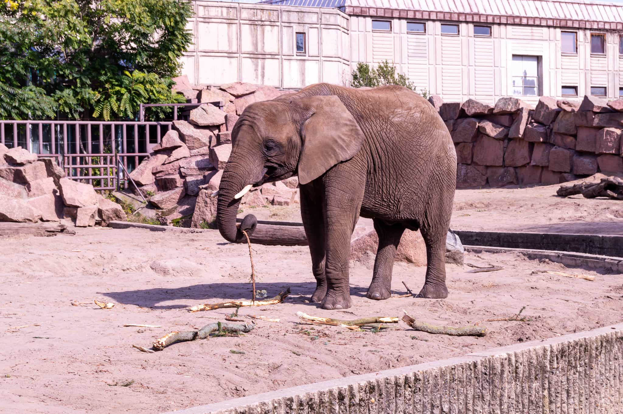 DSC_0023.jpg