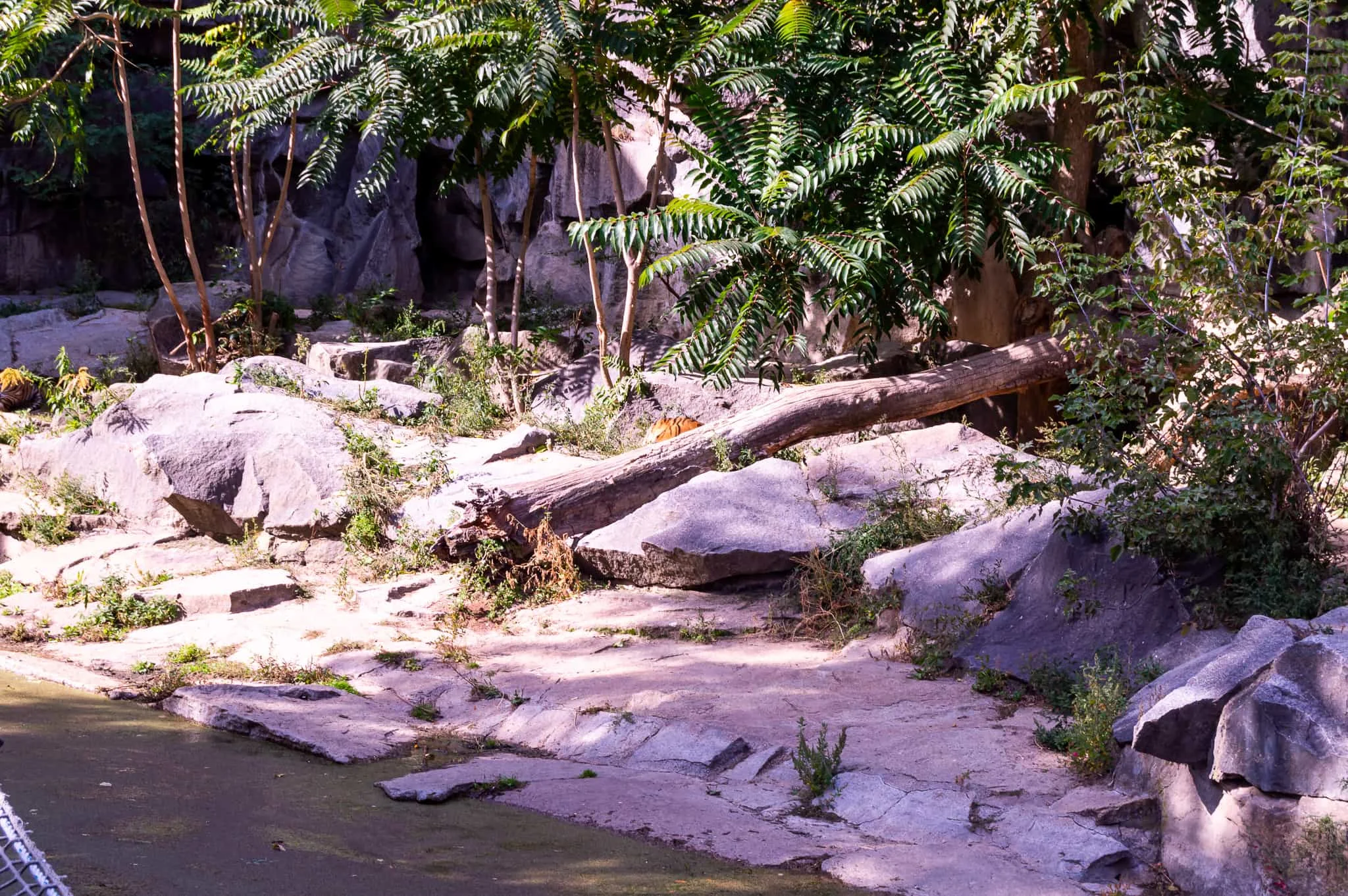 DSC_0026.jpg