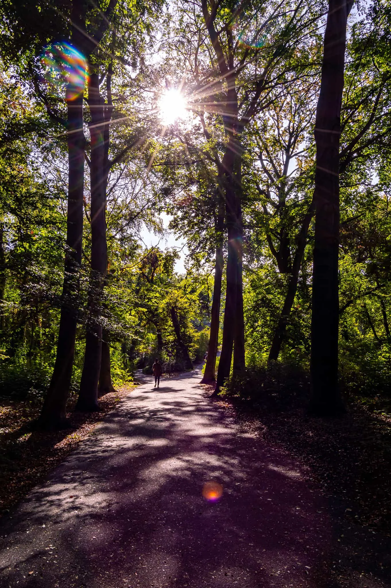 DSC_0929.jpg