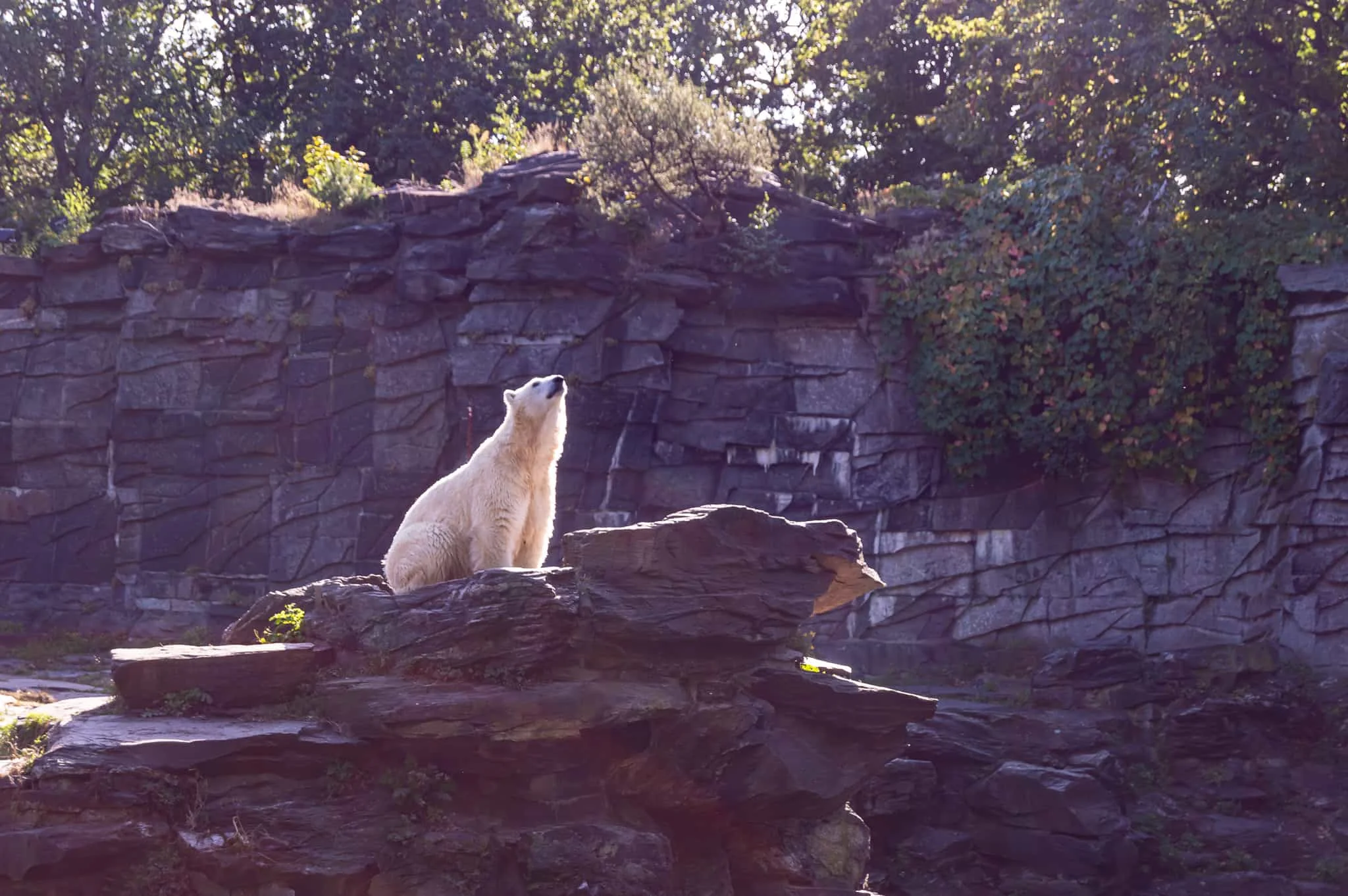 DSC_0941.jpg