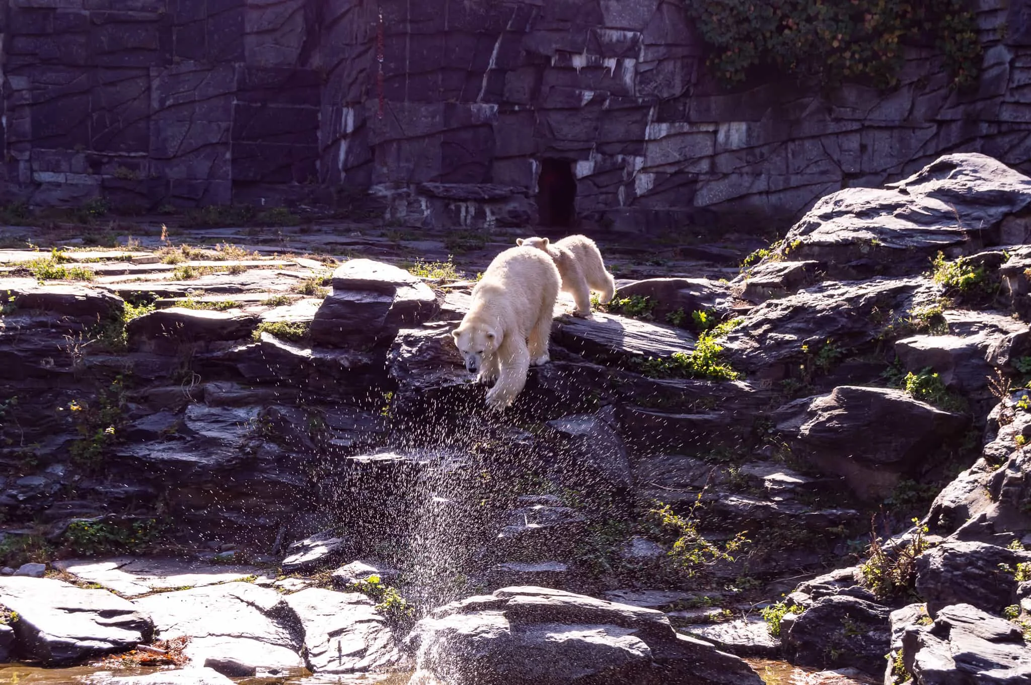 DSC_0951.jpg