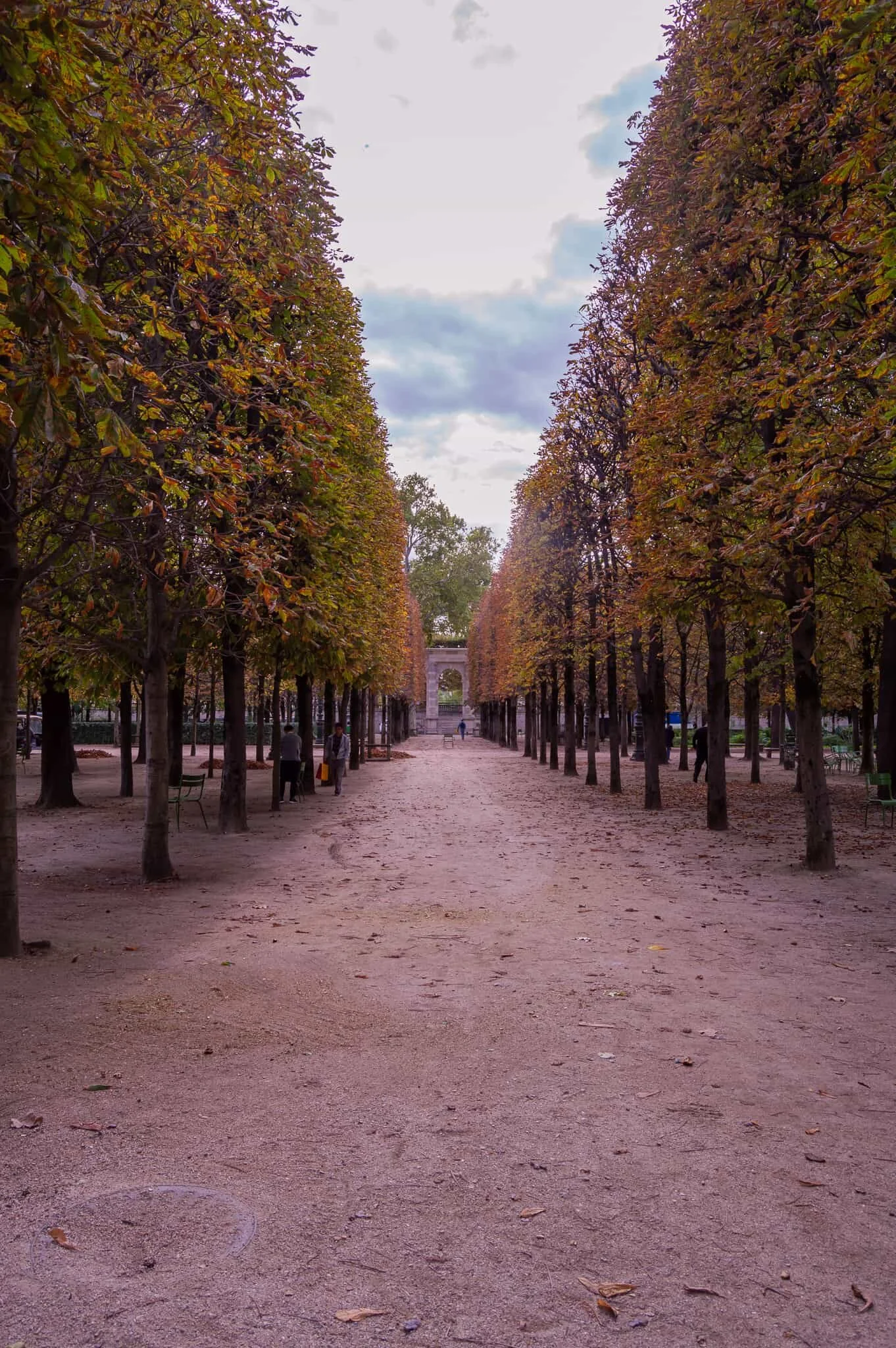 DSC_0015.jpg