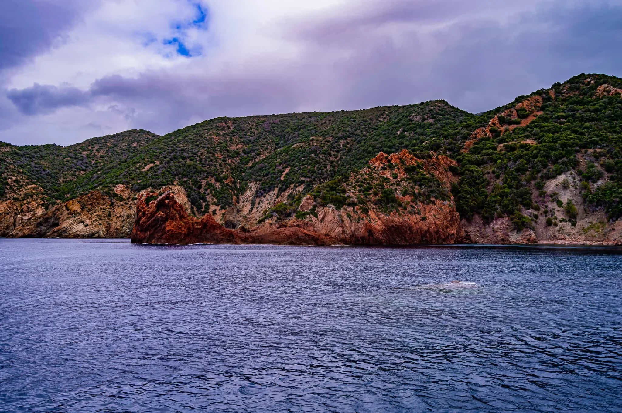DSC_0213.jpg